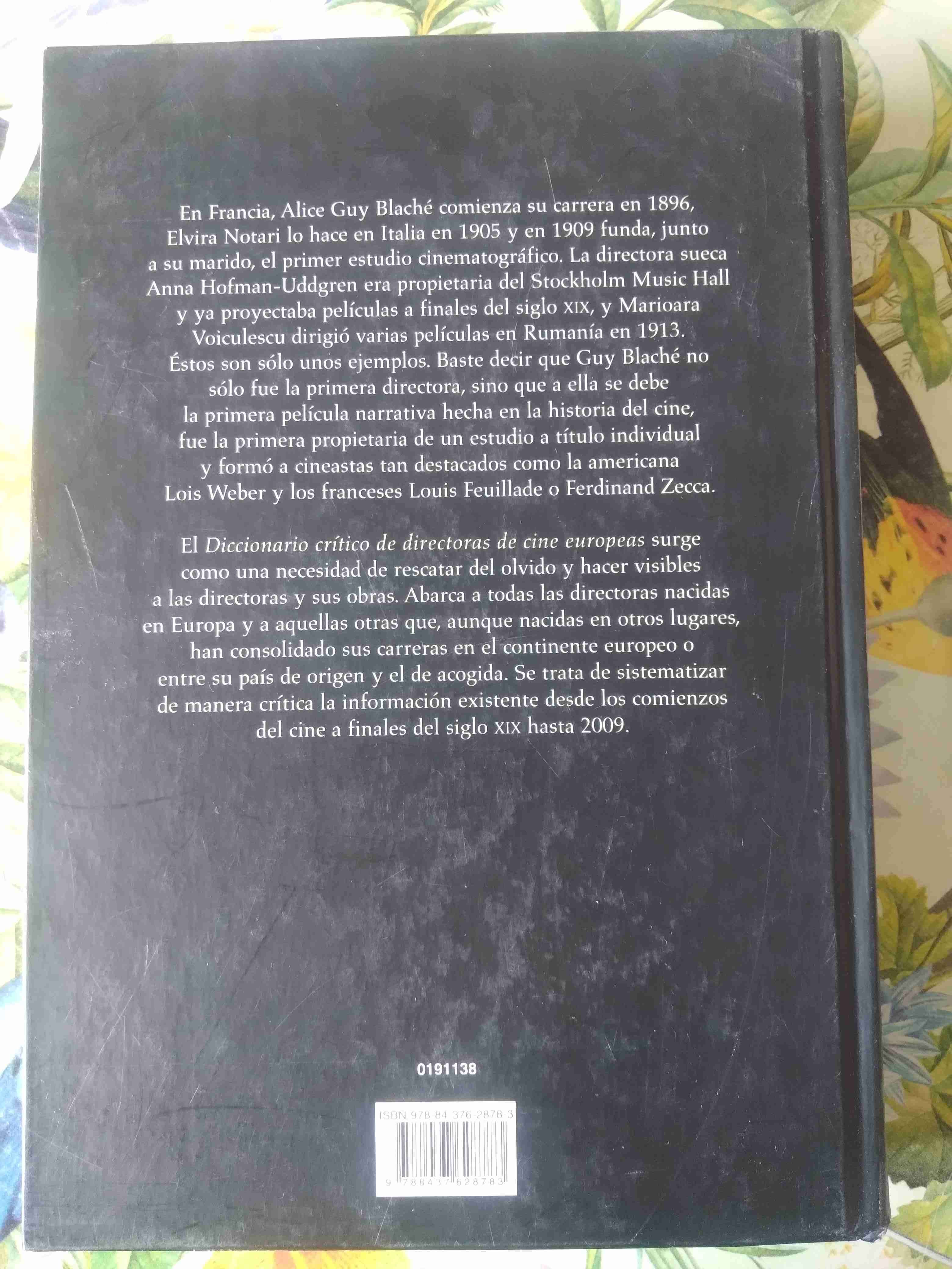 Diccionario crítico de directoras cine europeas - miniatura 3