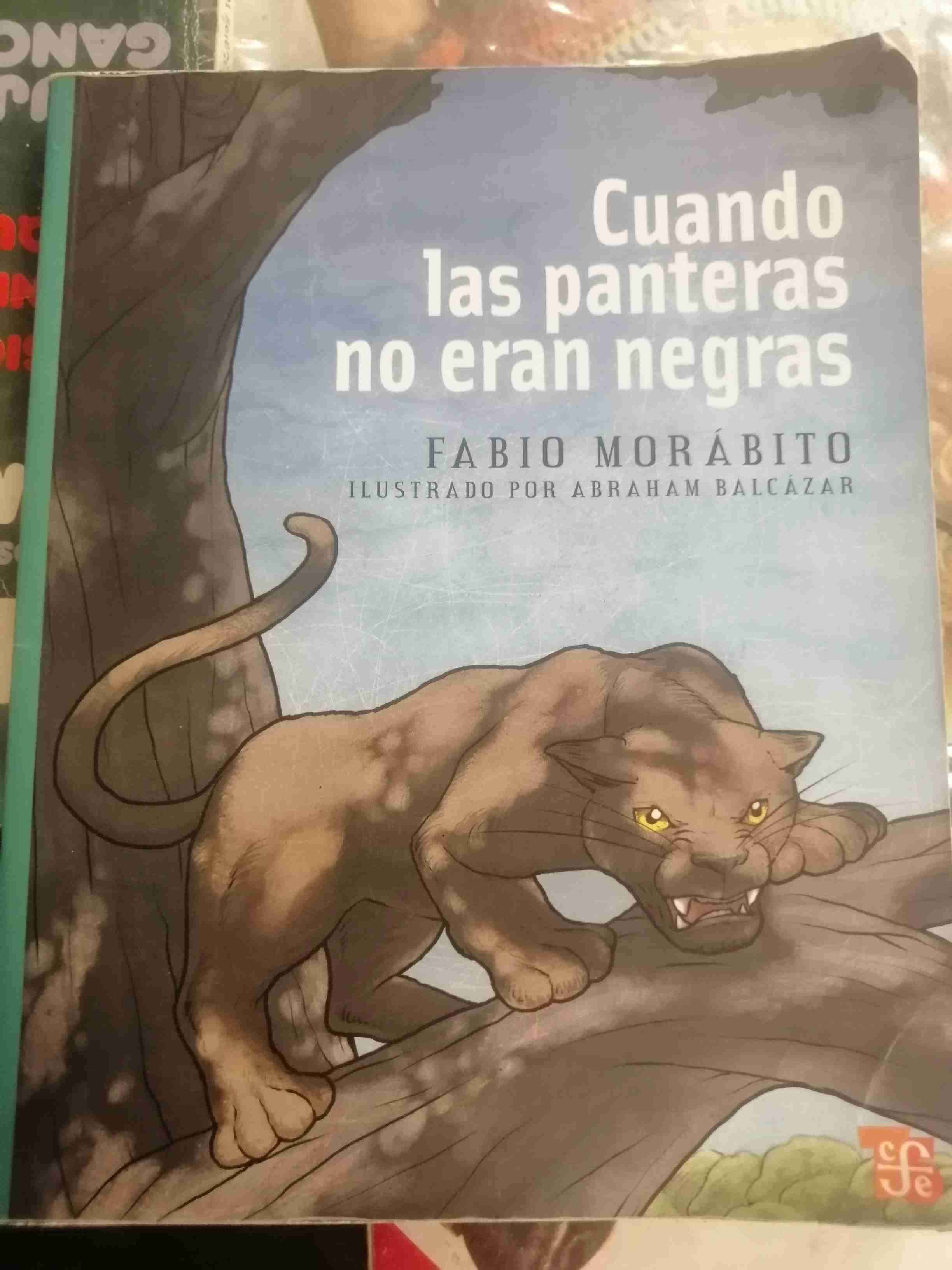 Libro 'Cuando las panteras no eran negras'