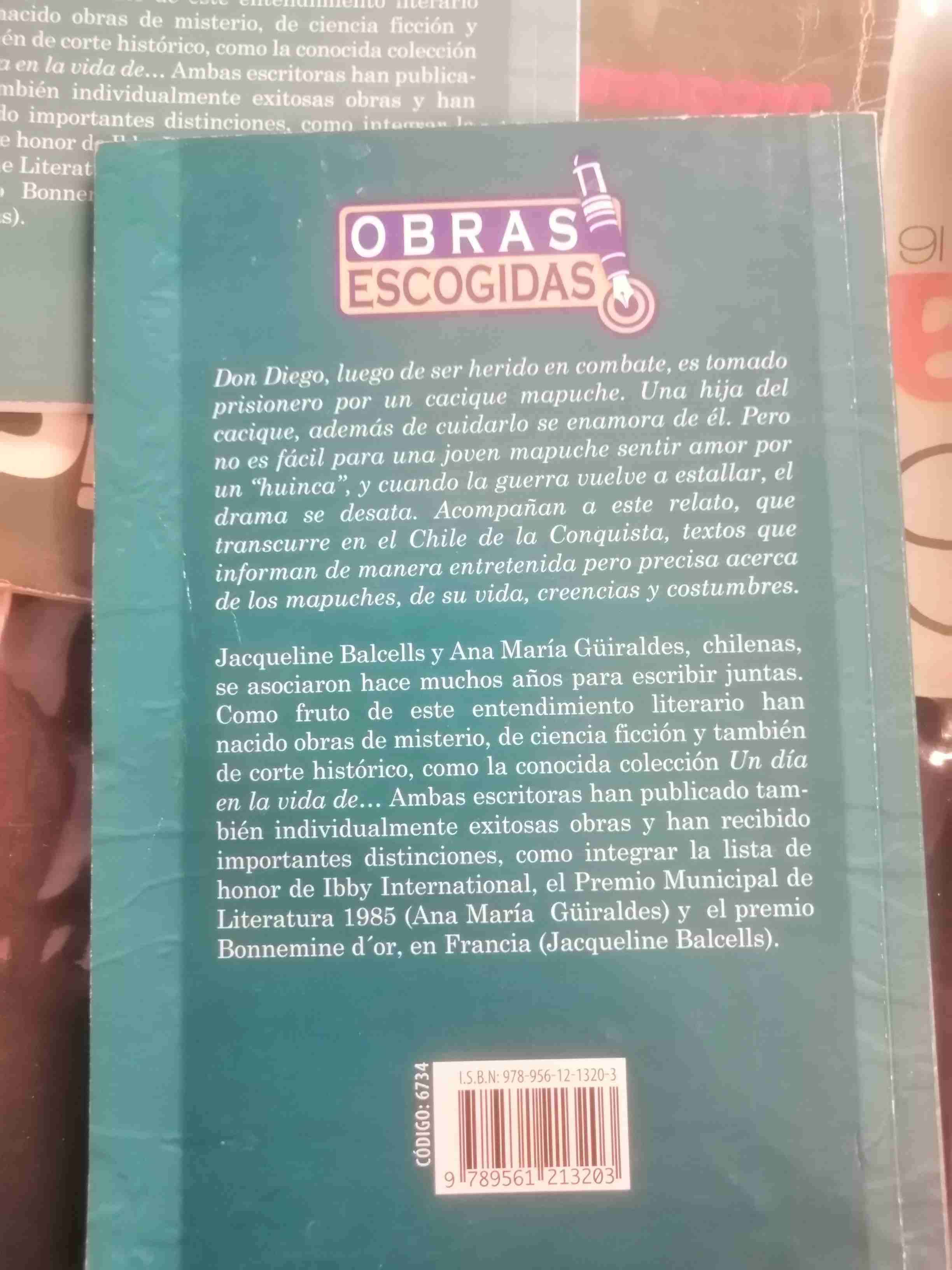 Quidora Joven Mapuche libro - miniatura 2