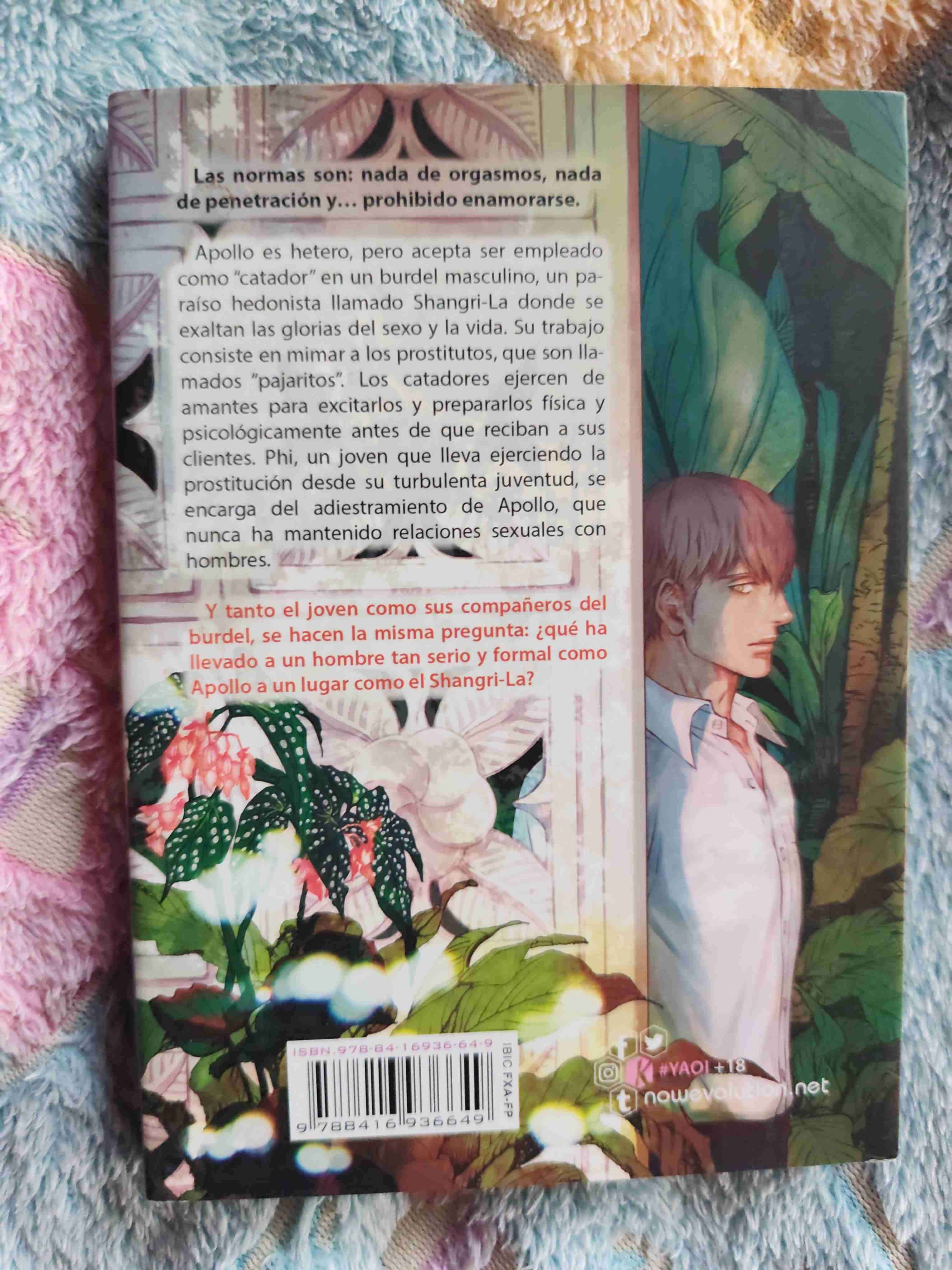 Manga Pájaros de Shangri-La Vol. 1 - miniatura 2