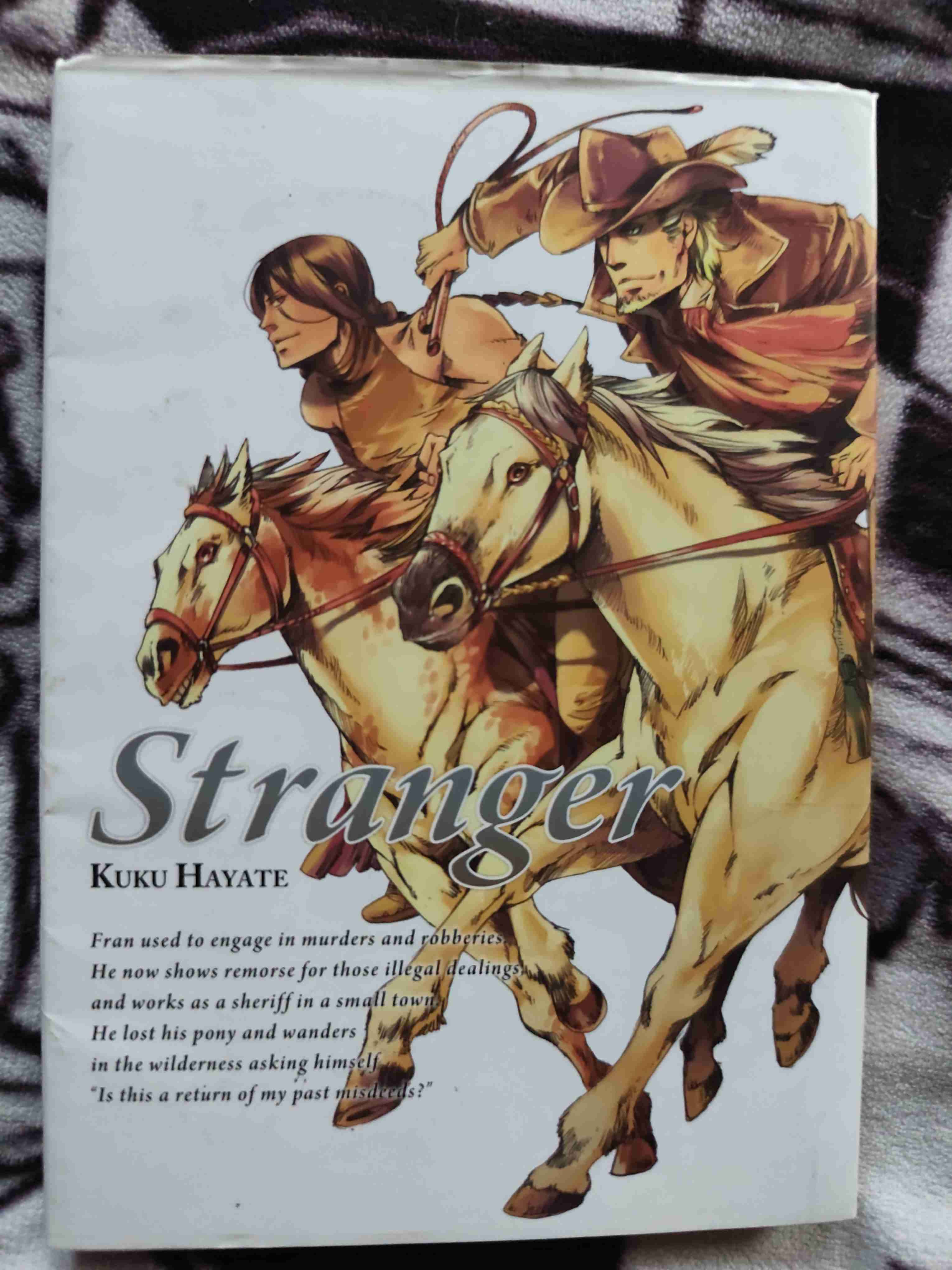 Manga Stranger - miniatura 1