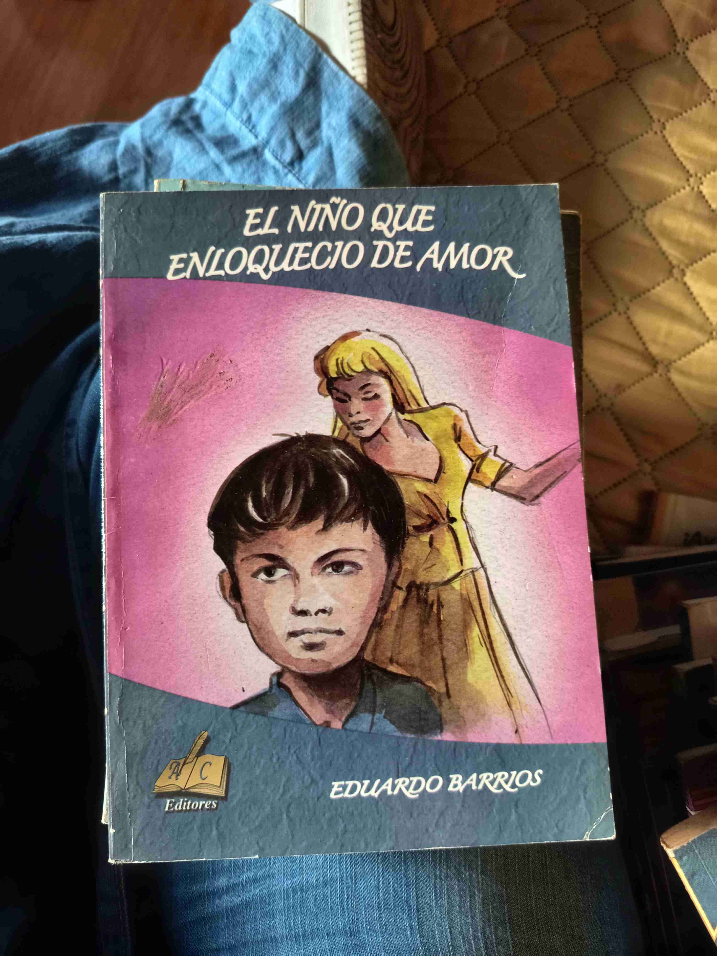 Libro 'El Niño Que Enloqueció de Amor'