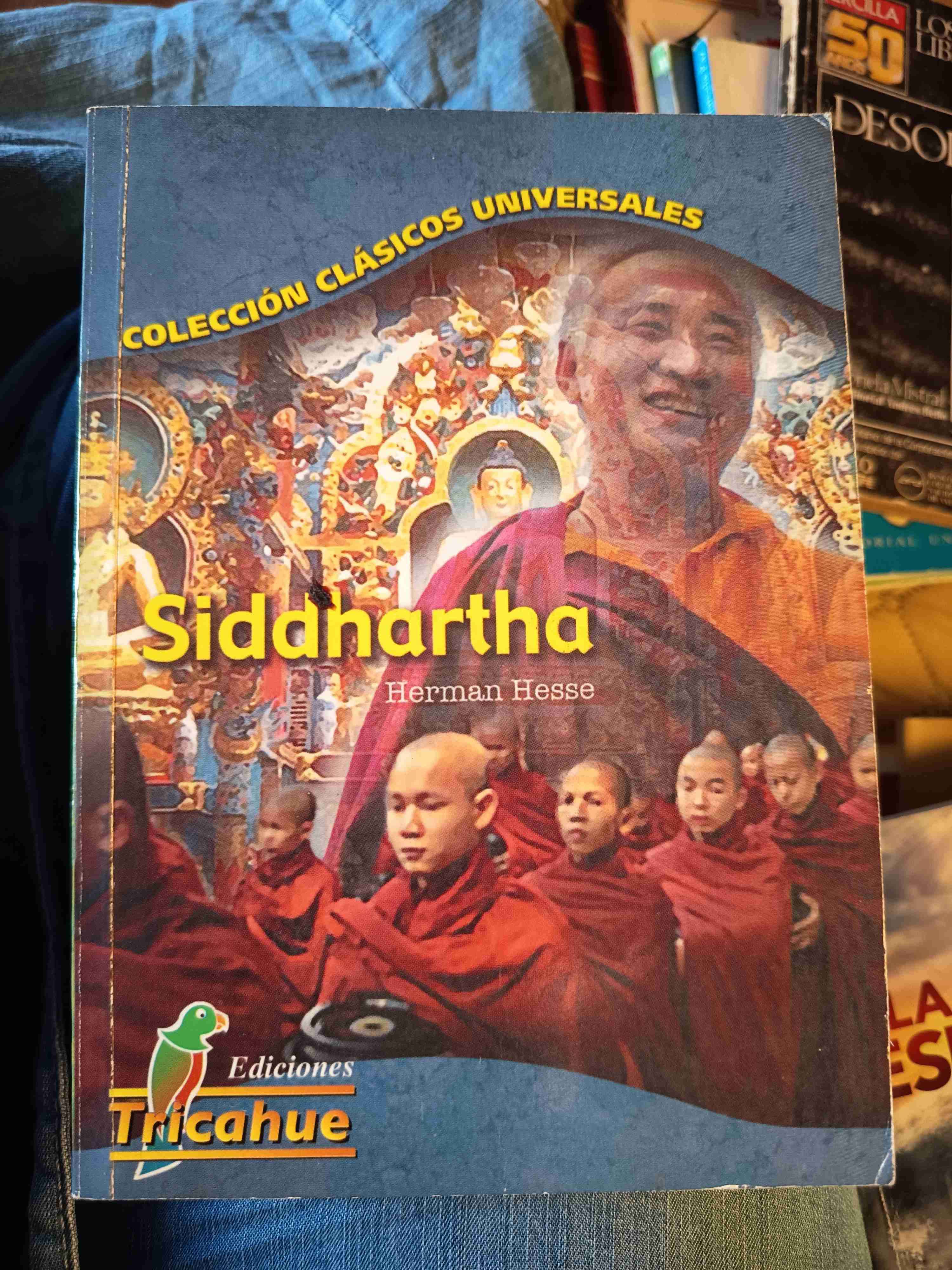 Libro Siddhartha de Hermann Hesse