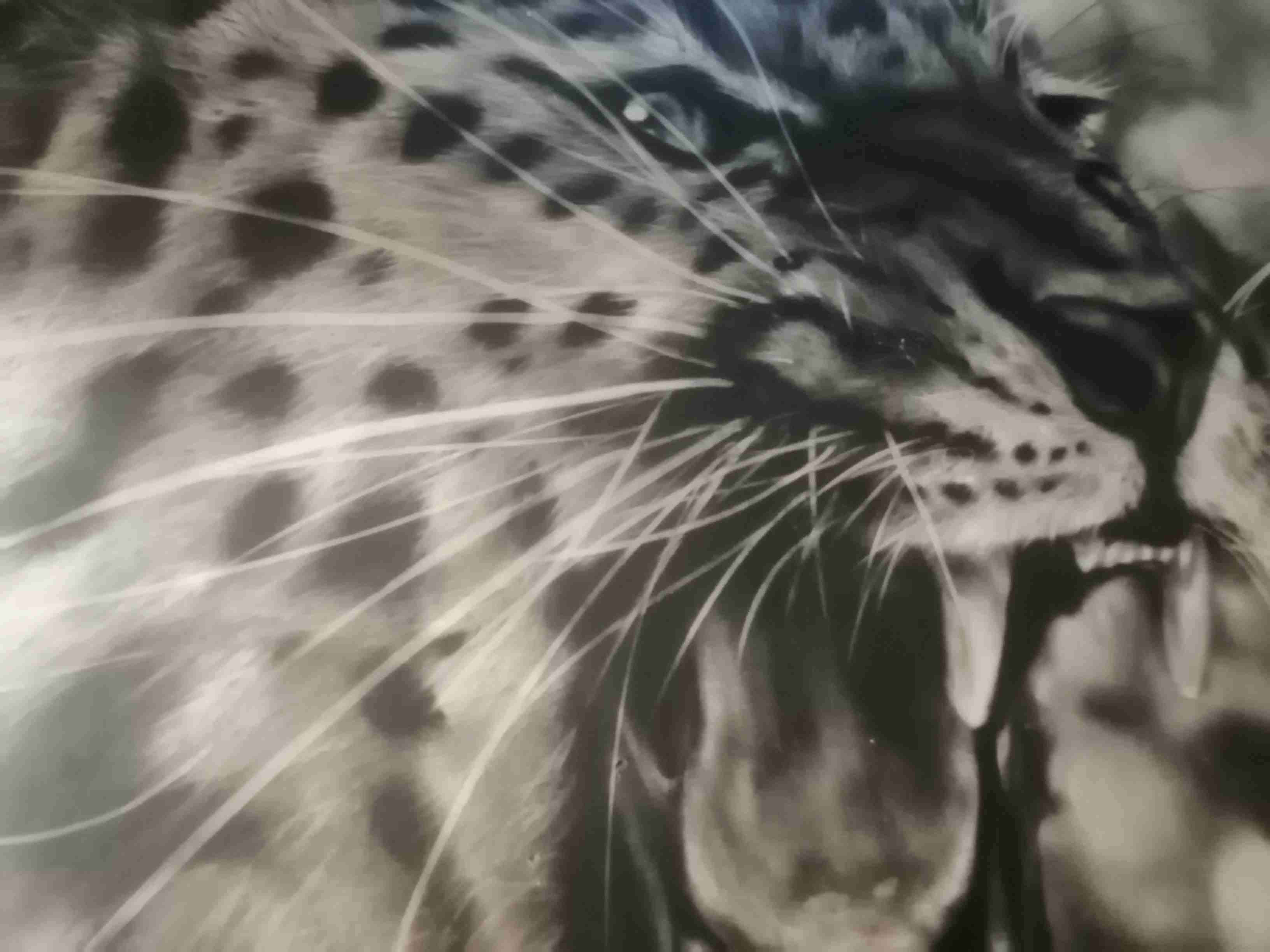 Cuadro grande de leopardo, tecnica CARBONCILLO. - miniatura 2