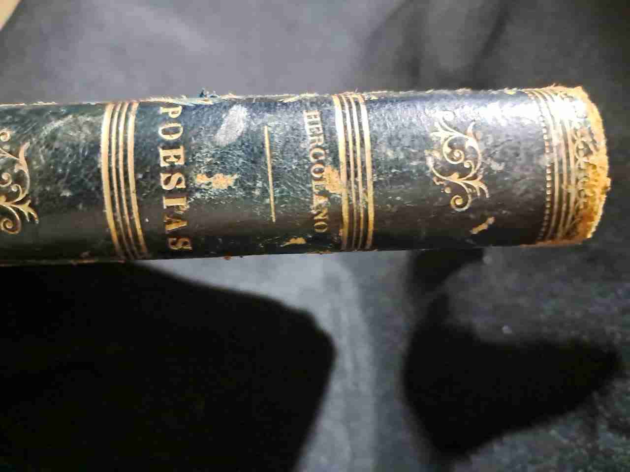 Libro antiguo de poesía portugués - miniatura 2