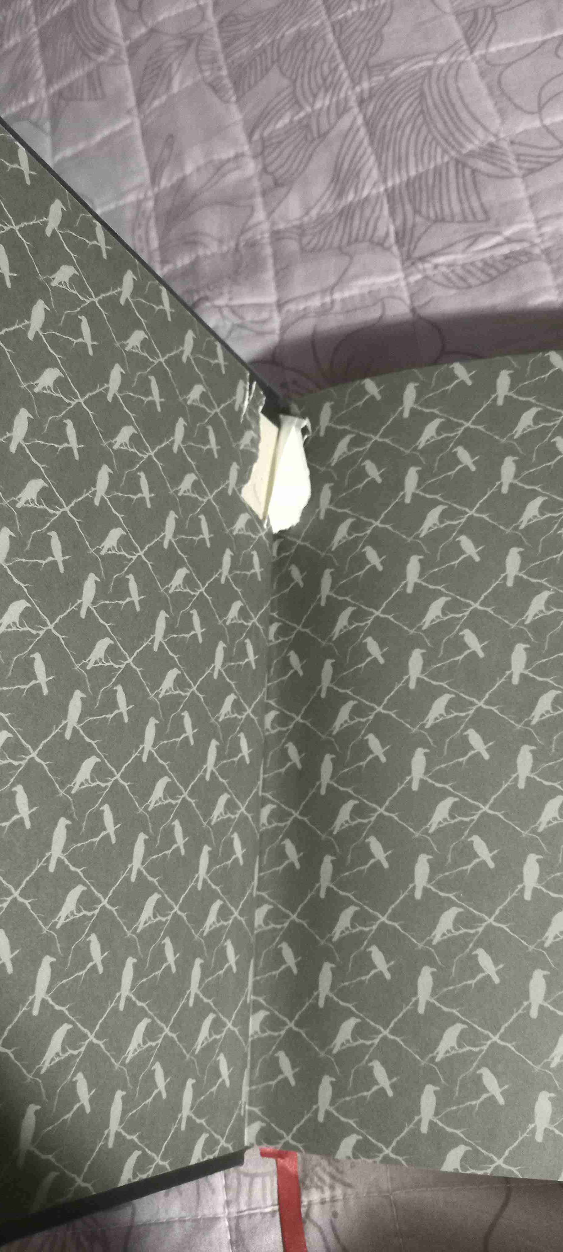 Libro Narraciones Extraordinarias Edgar Allan Poe - miniatura 2