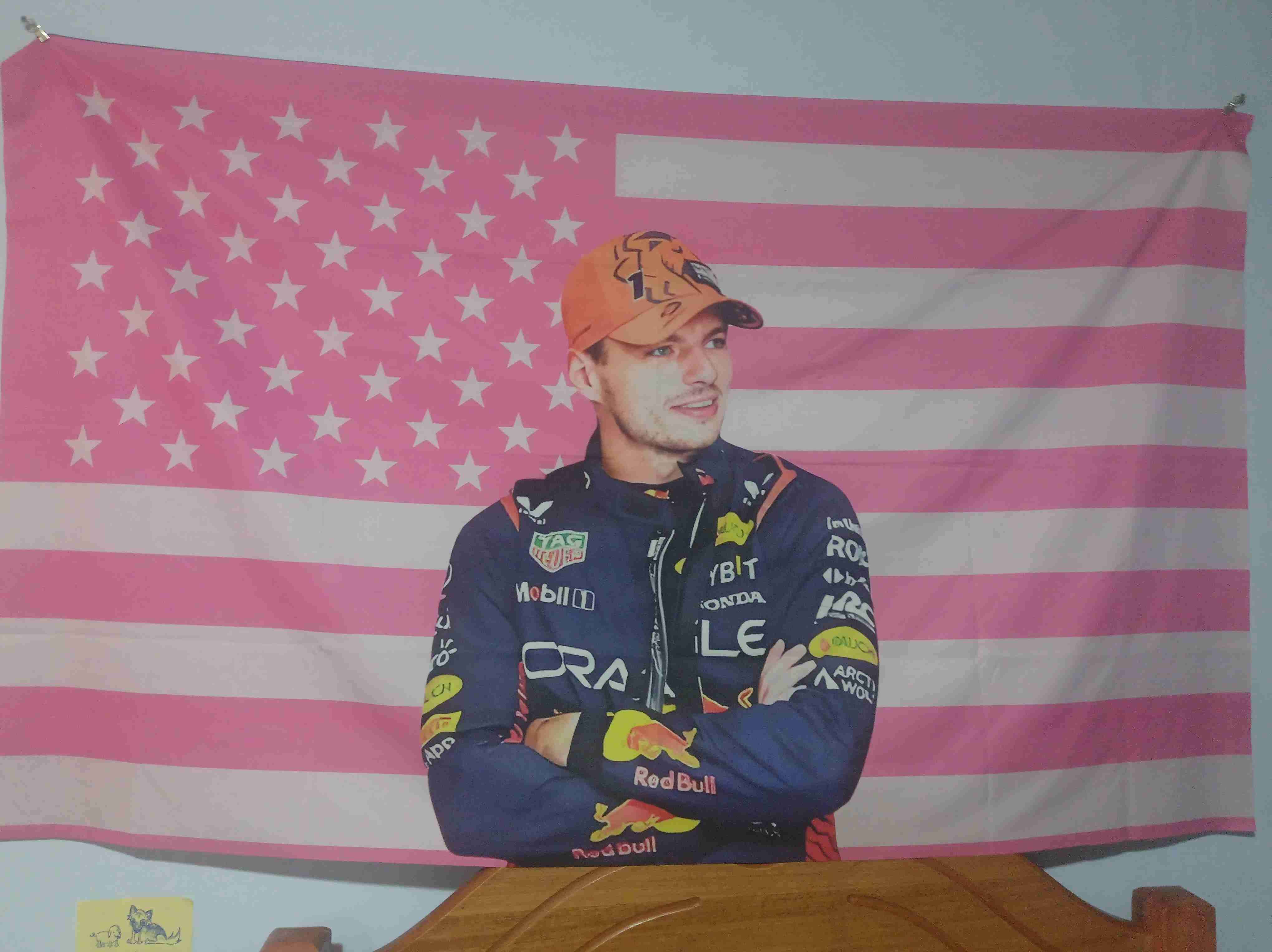 Bandera decorativa de Max Verstappen