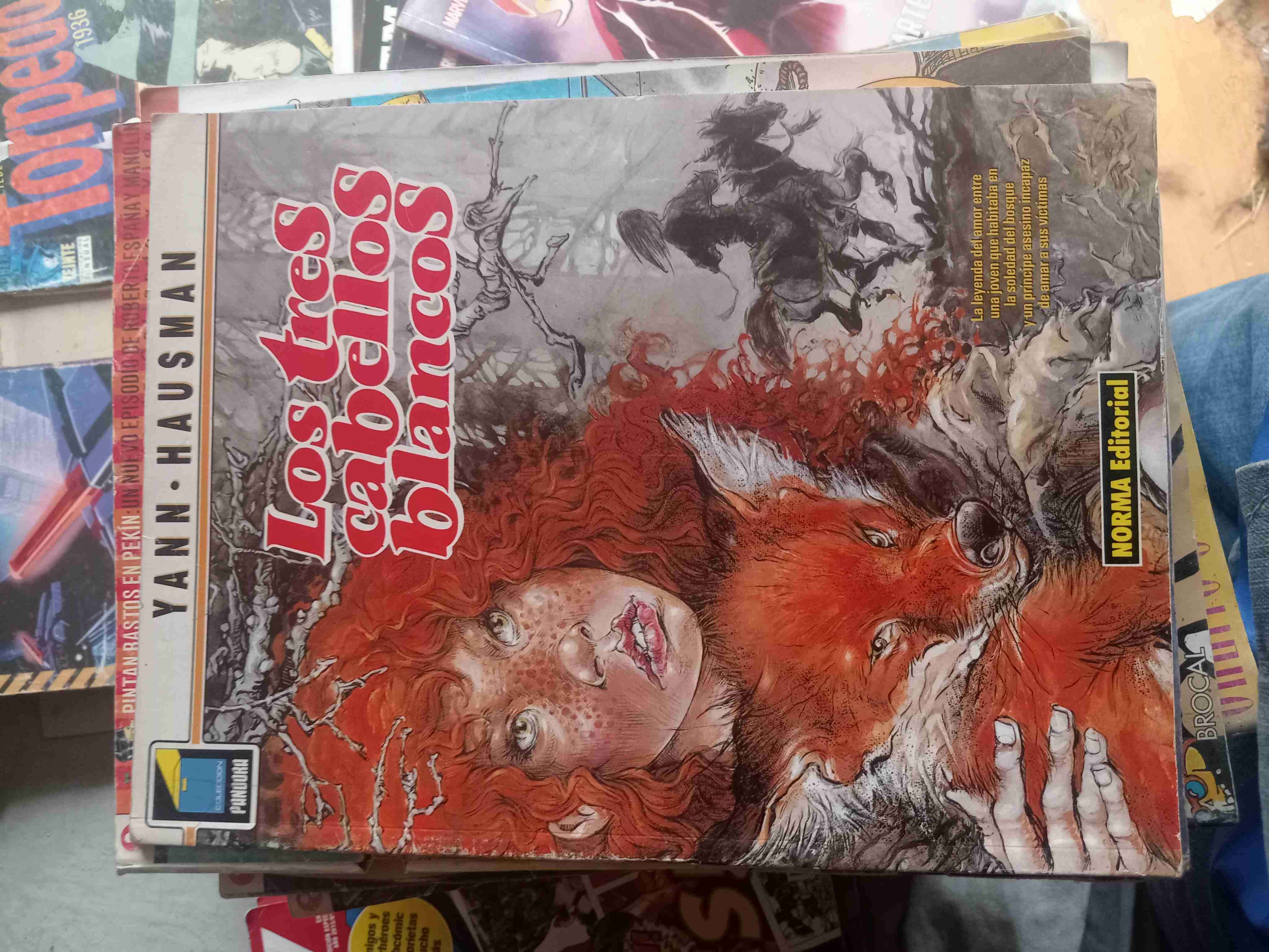 Comic 'Los tres cabellos blancos' - miniatura 1