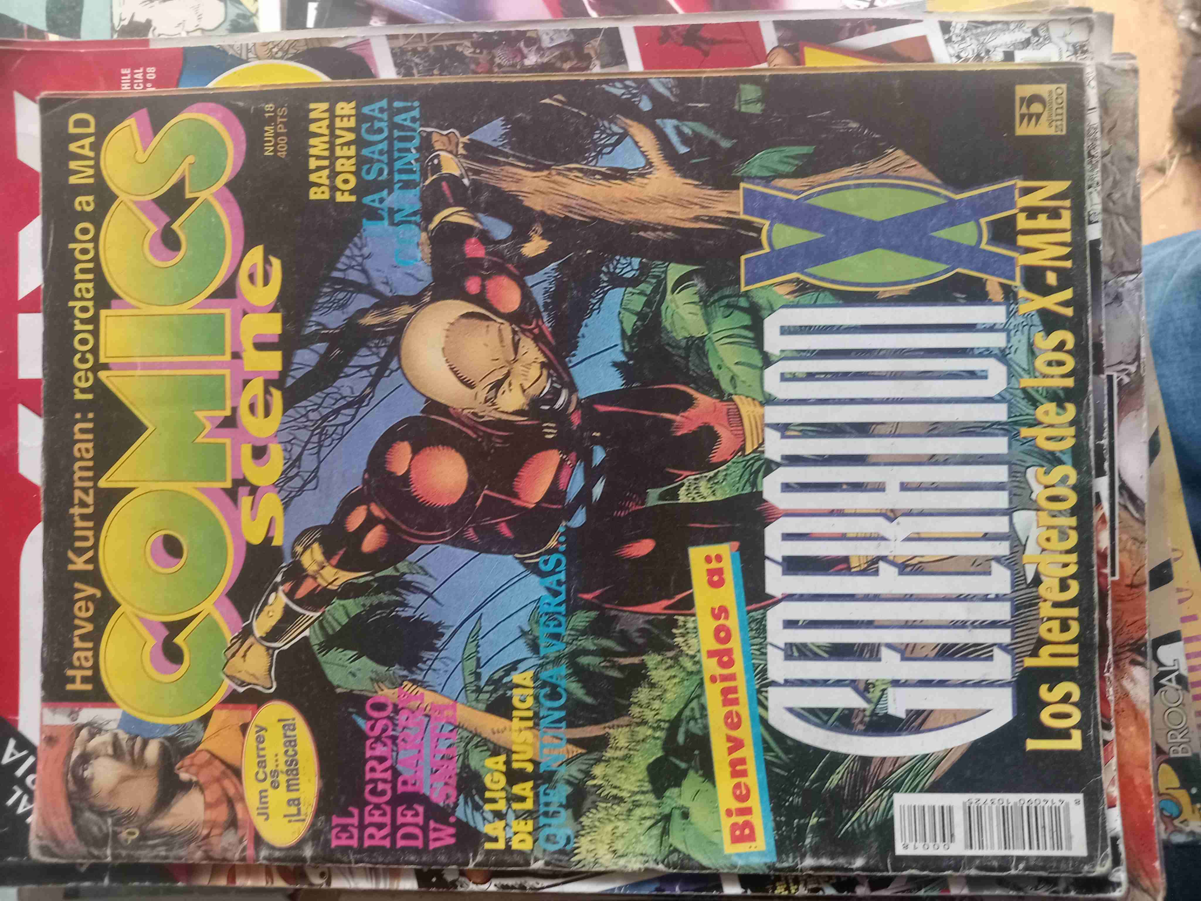 Comic 'Los tres cabellos blancos' - miniatura 3