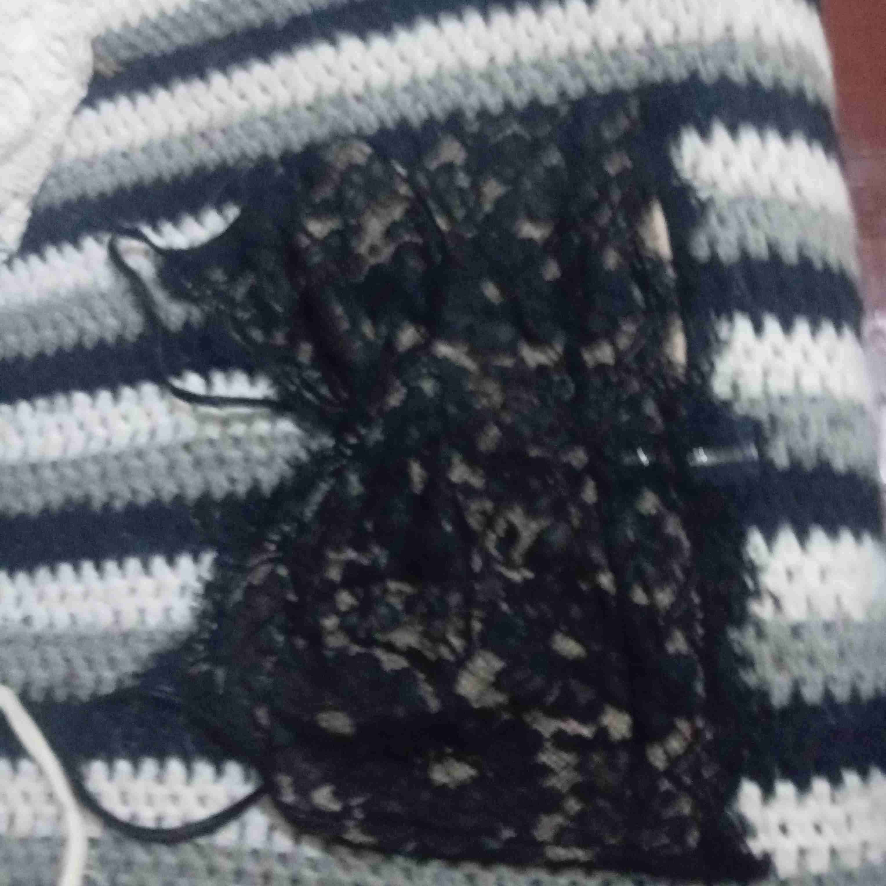 Enterito beige con encaje negro - miniatura 3