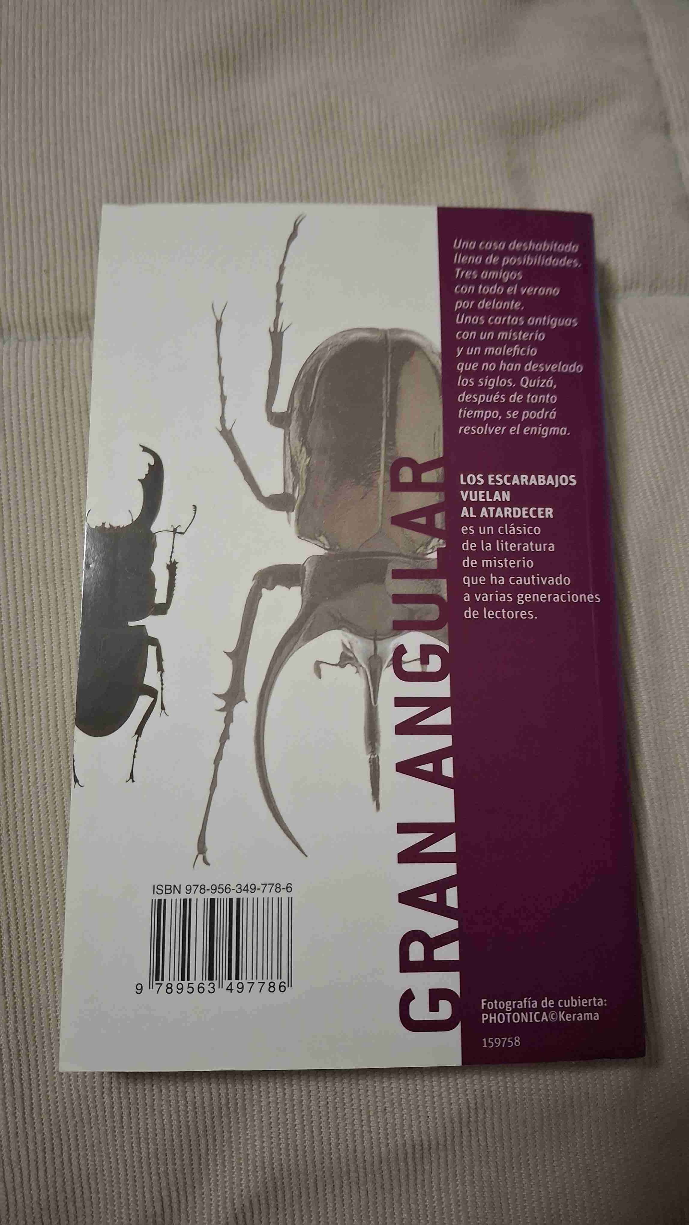 Libro 'Los escarabajos vuelan al atardecer' - miniatura 2