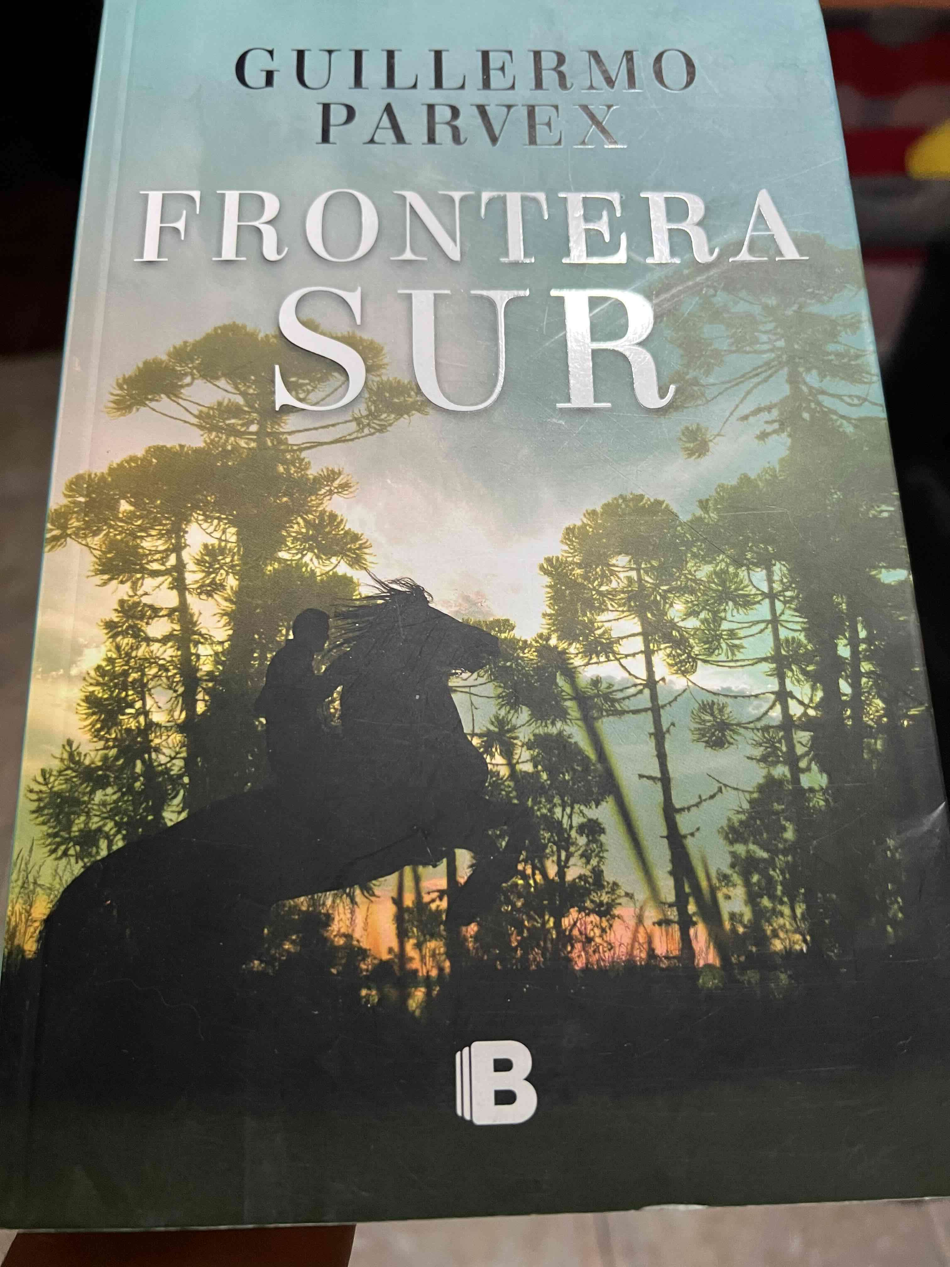 Libro Frontera Sur de Guillermo Parvex