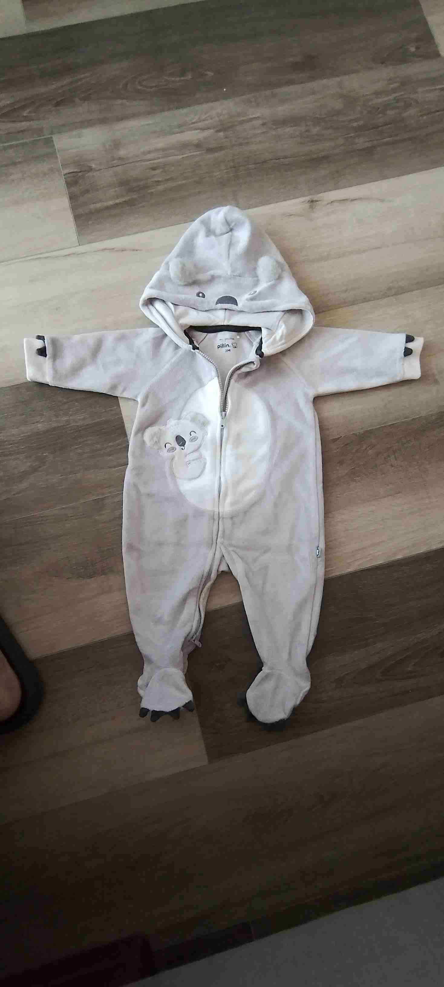 Enterito bebé koala gris 3 meses. - miniatura 1