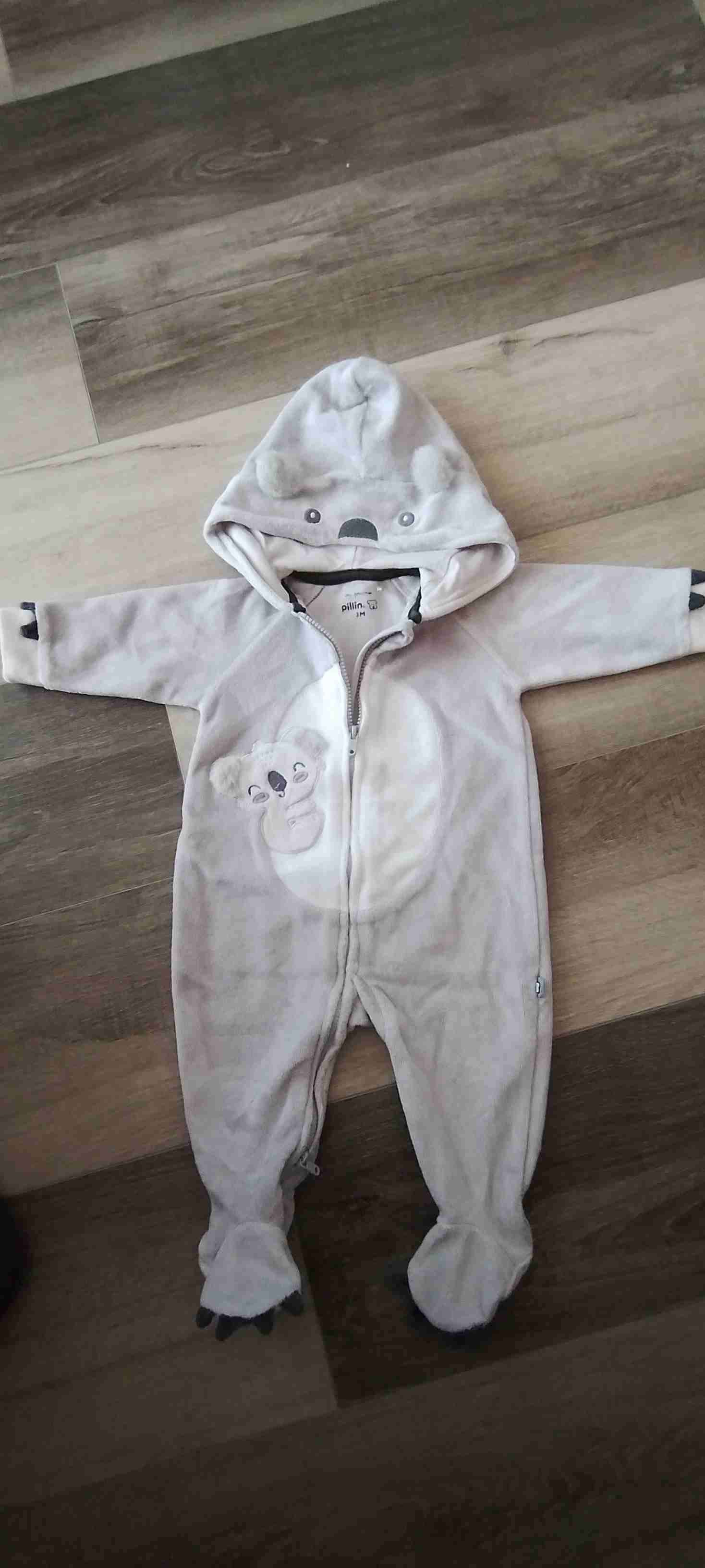 Enterito bebé koala gris 3 meses. - miniatura 2