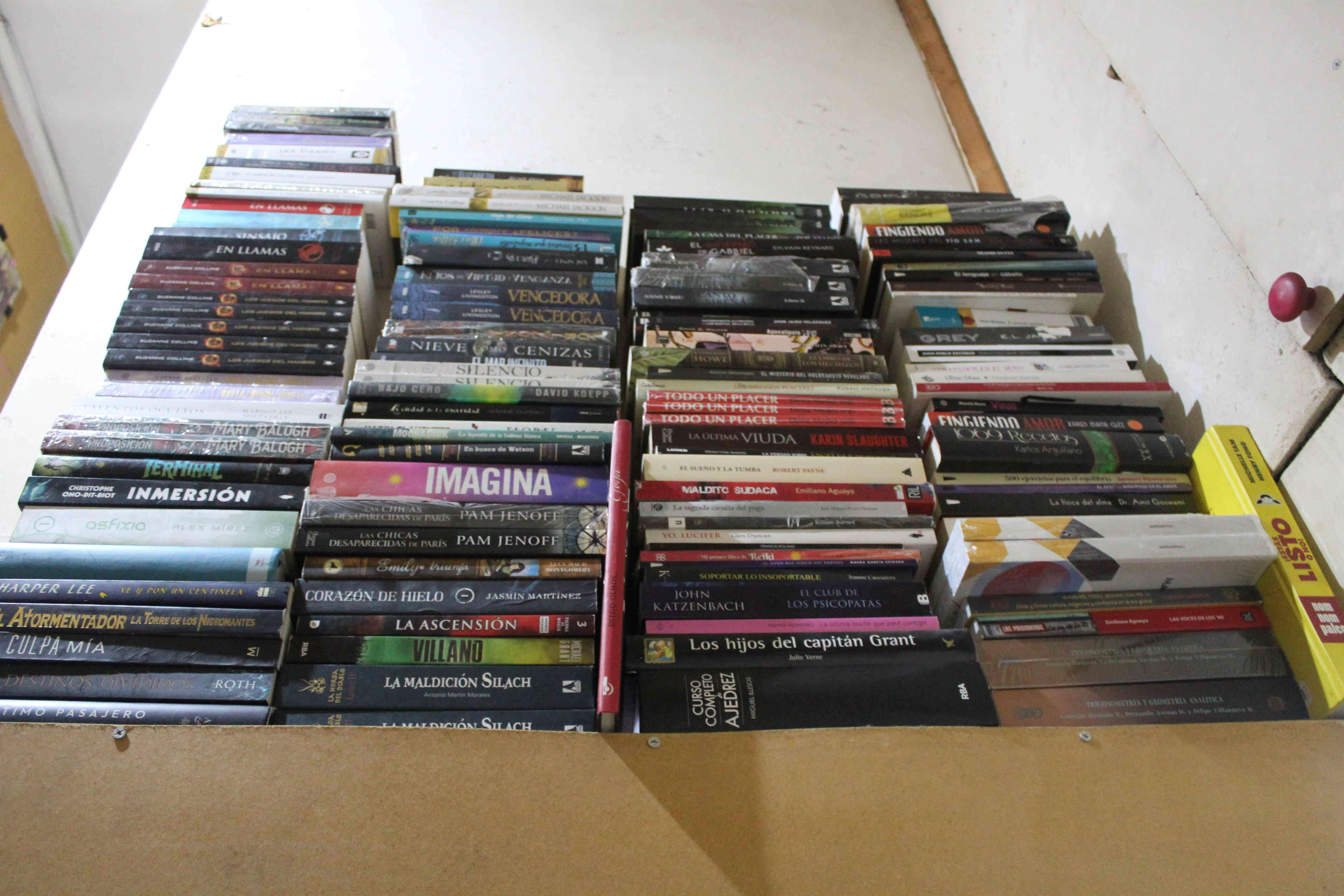 Lote de libros variados - miniatura 4