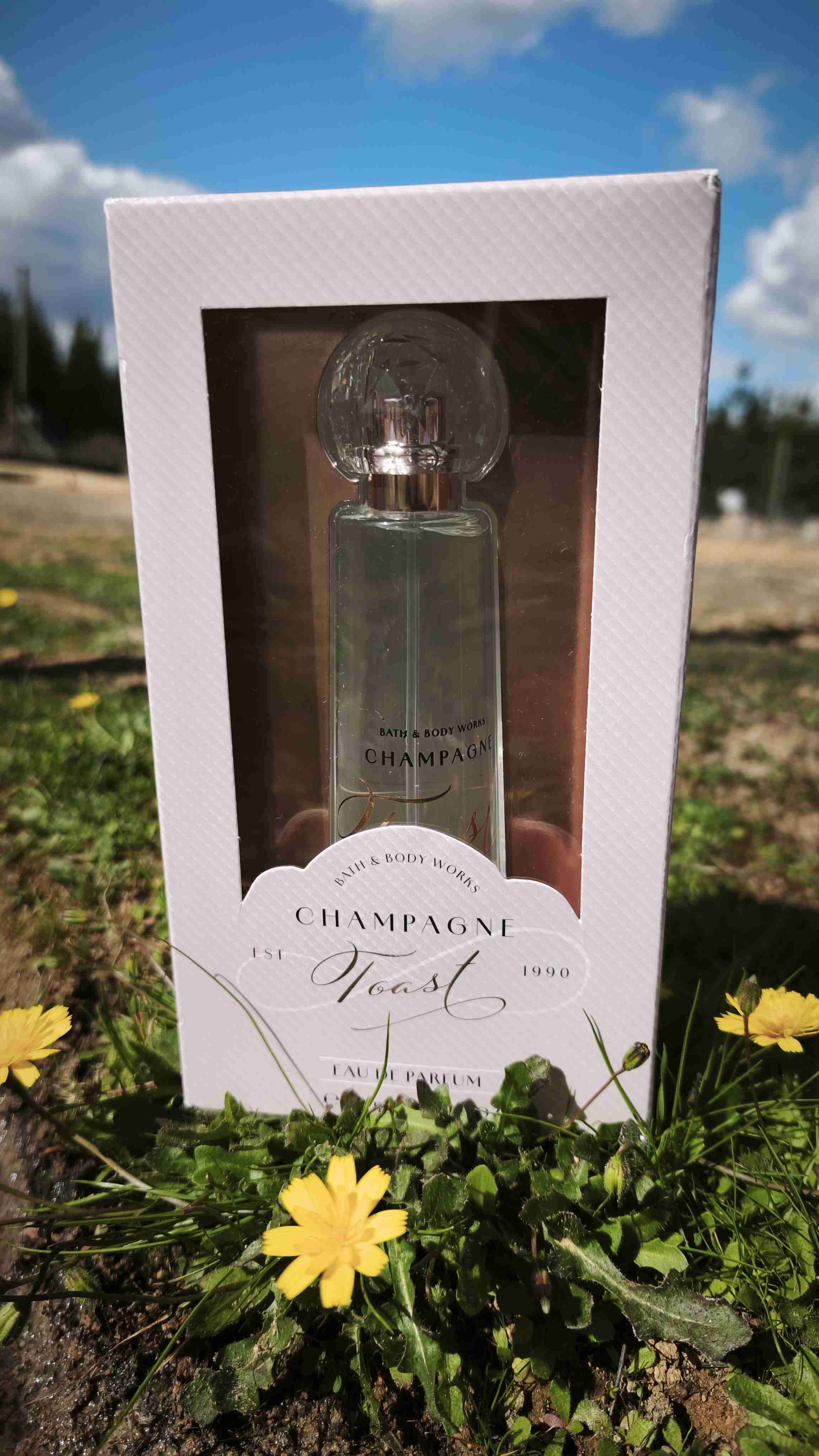 Perfume Champagne Toast nuevo