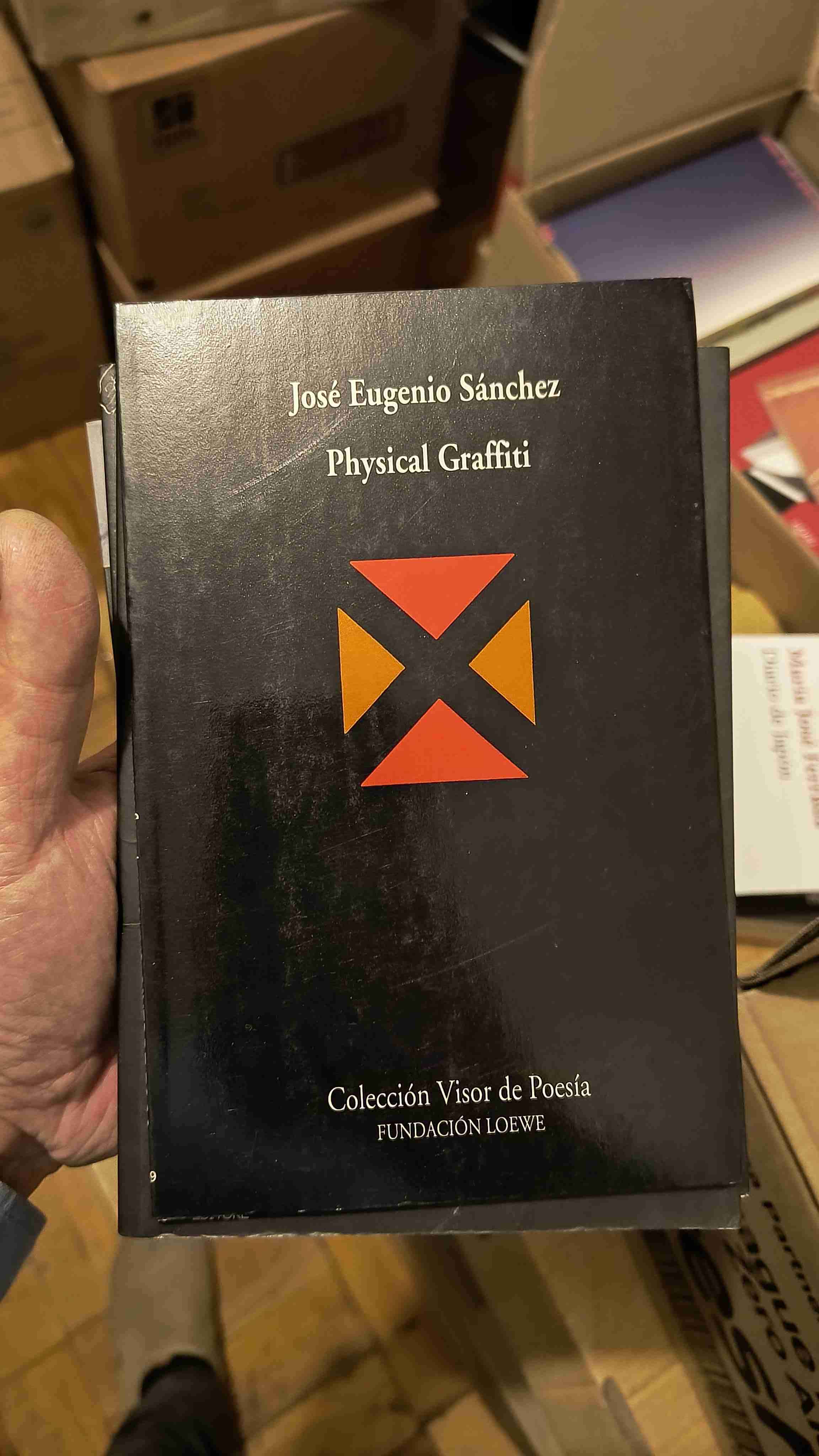 Libro Physical Graffiti - miniatura 1