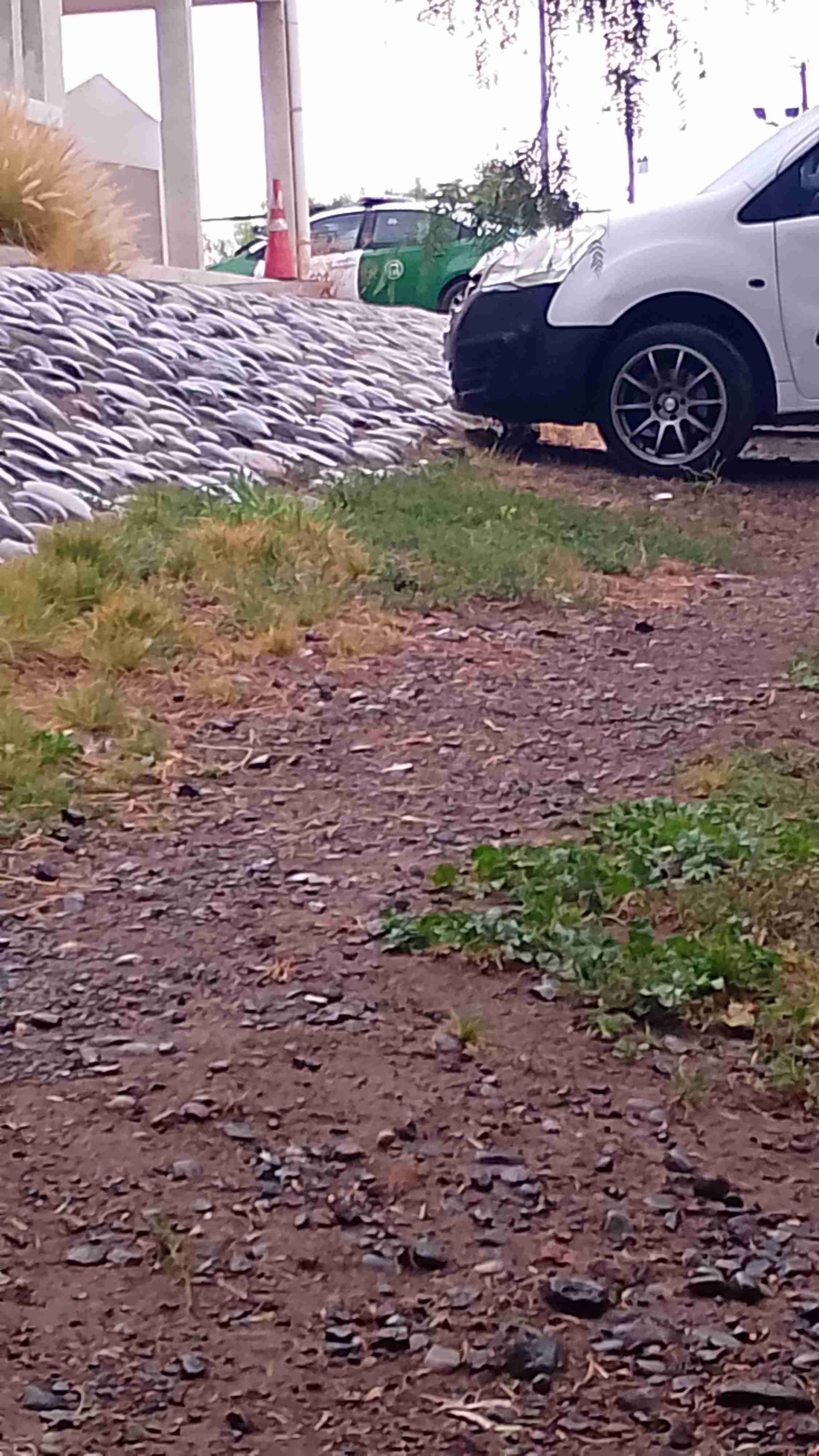 Camiseta deportiva azul Napoli - miniatura 4