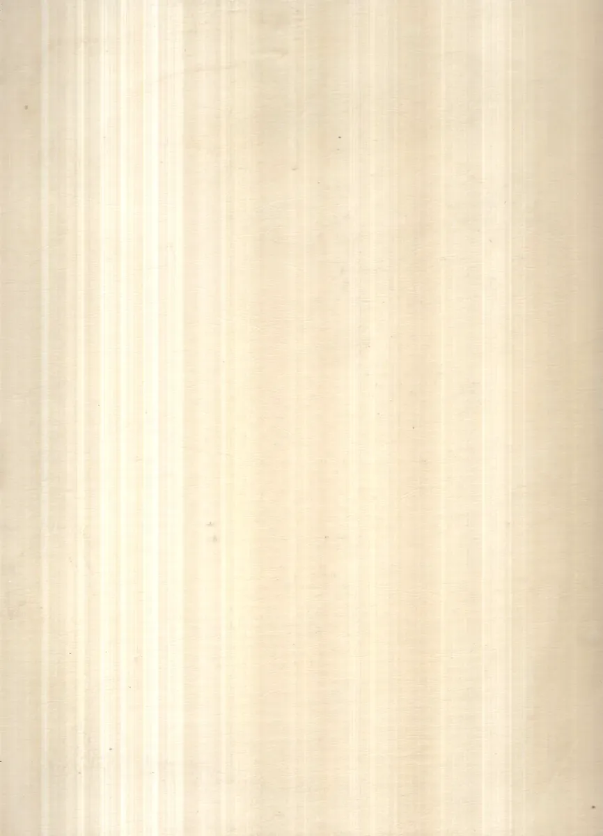 Libro Monitor Salvat Volumen 4 - miniatura 2