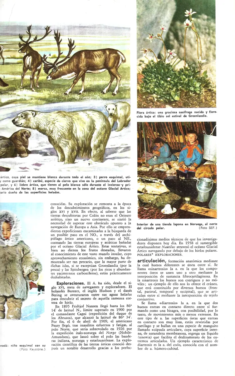 Libro  Enciclopedia Monitor Salvat Tomo 2 - miniatura 3