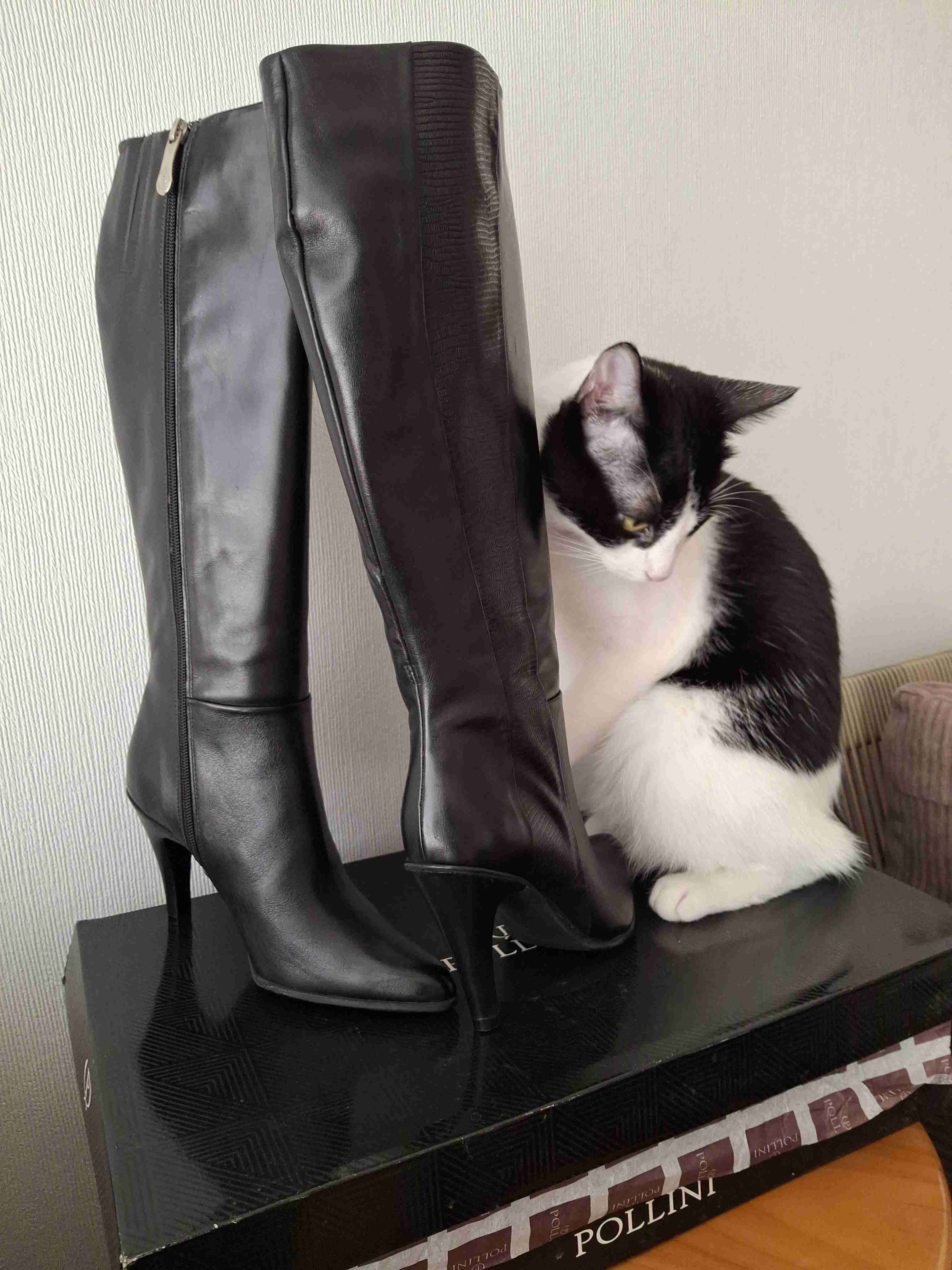 Botas de cuero negras Pollini - miniatura 3