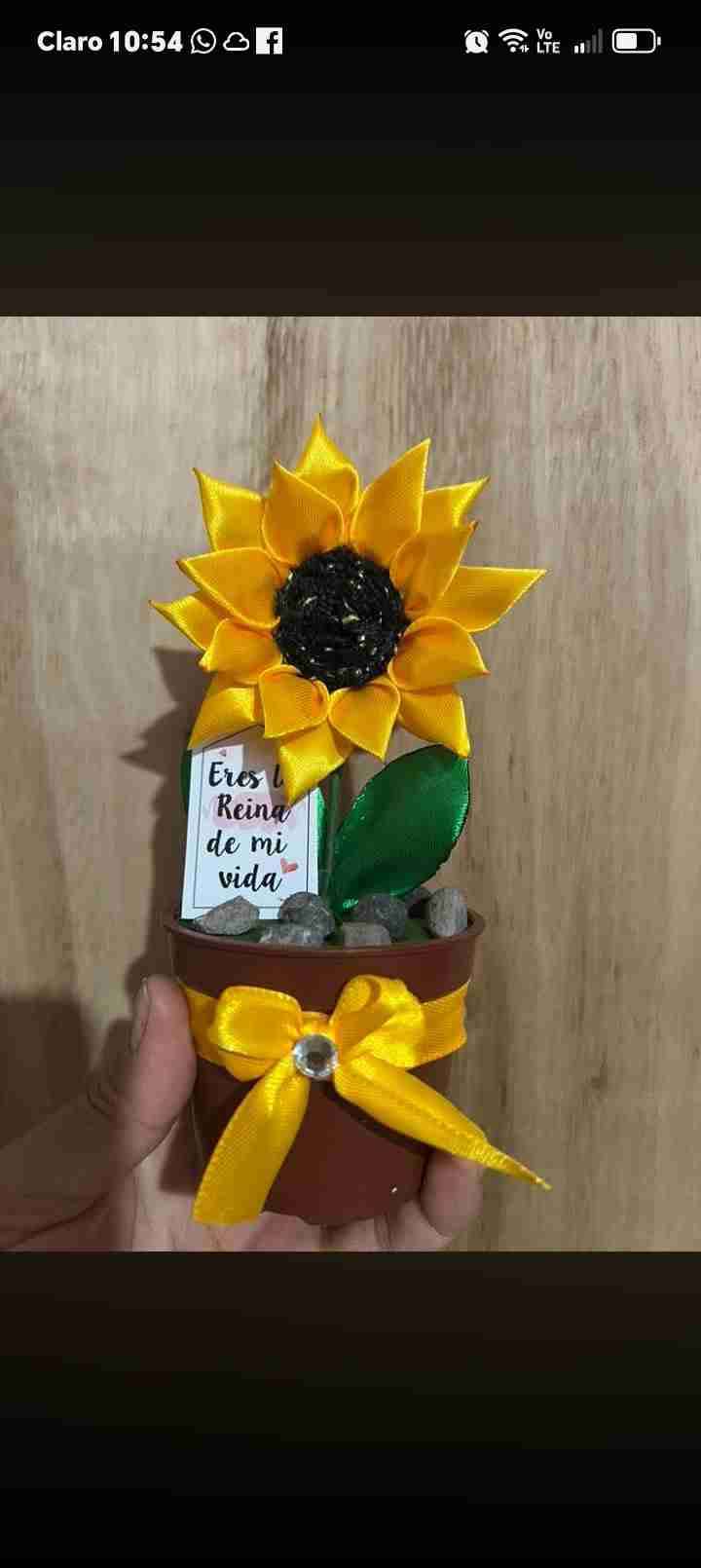 Ramo decorativo con globos - miniatura 4