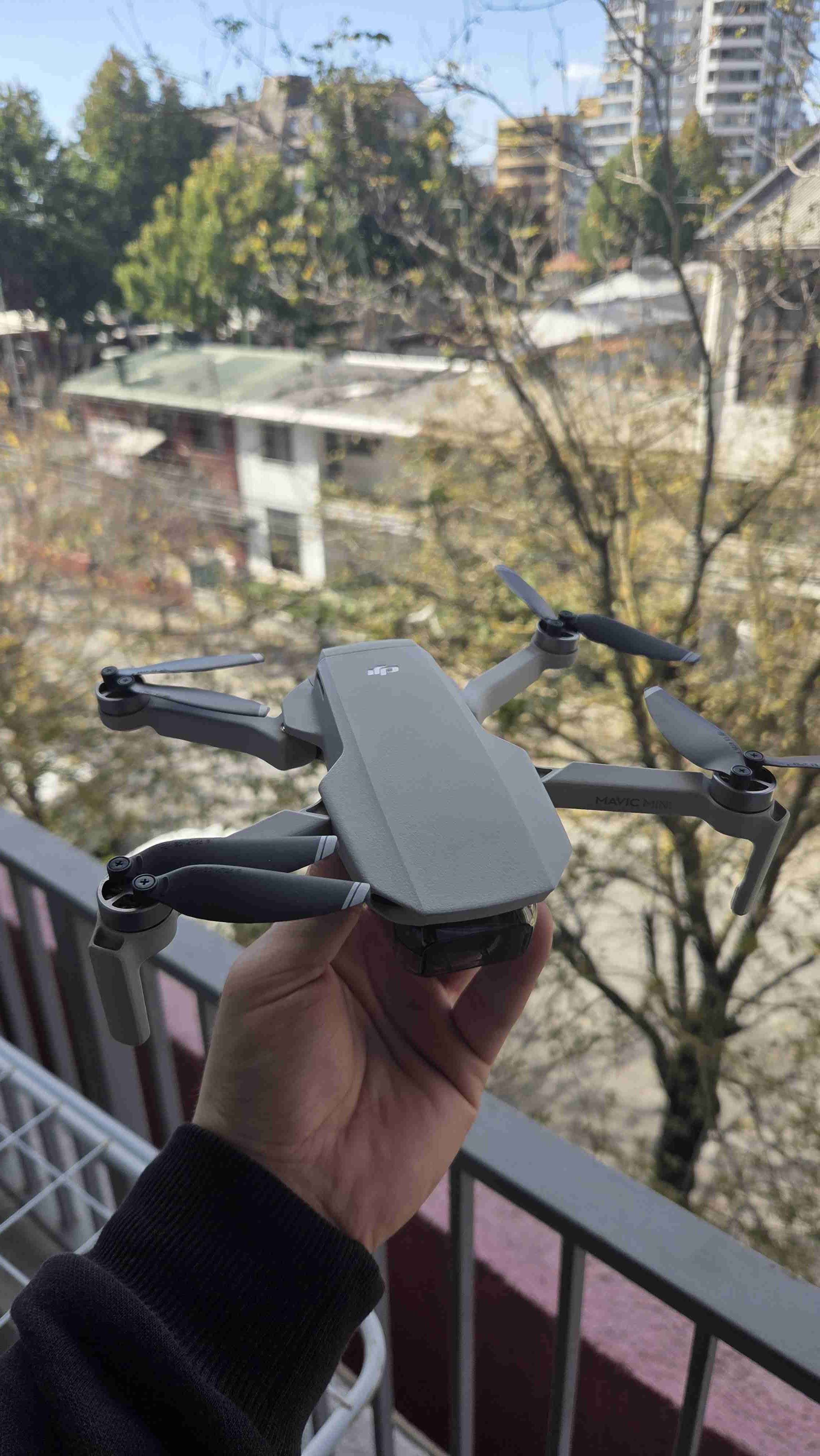 Dron DJI Mavic Mini - miniatura 2