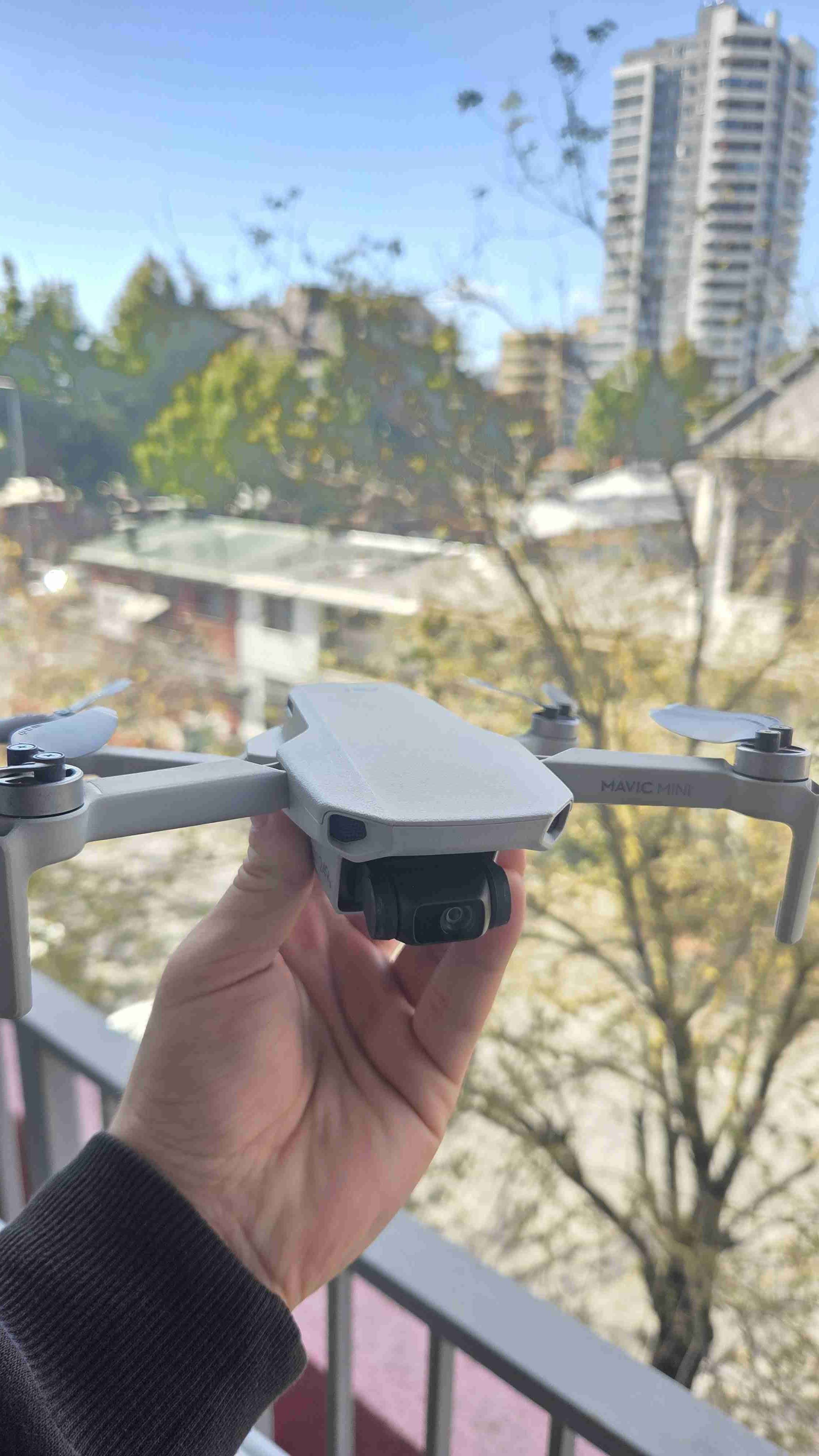 Dron DJI Mavic Mini - miniatura 3