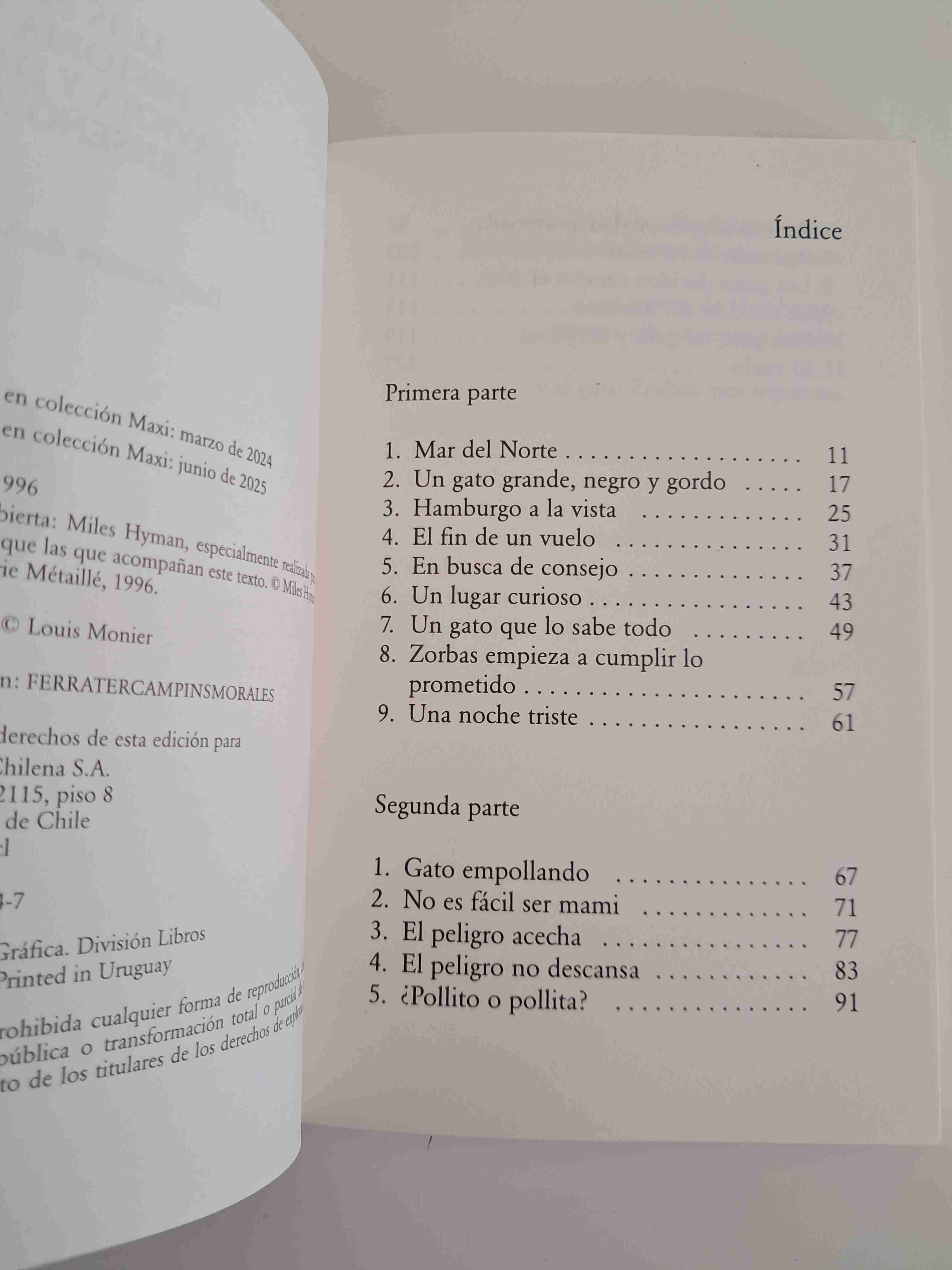 Libro 'Historia de una gaviota y del gato que ...' - miniatura 3