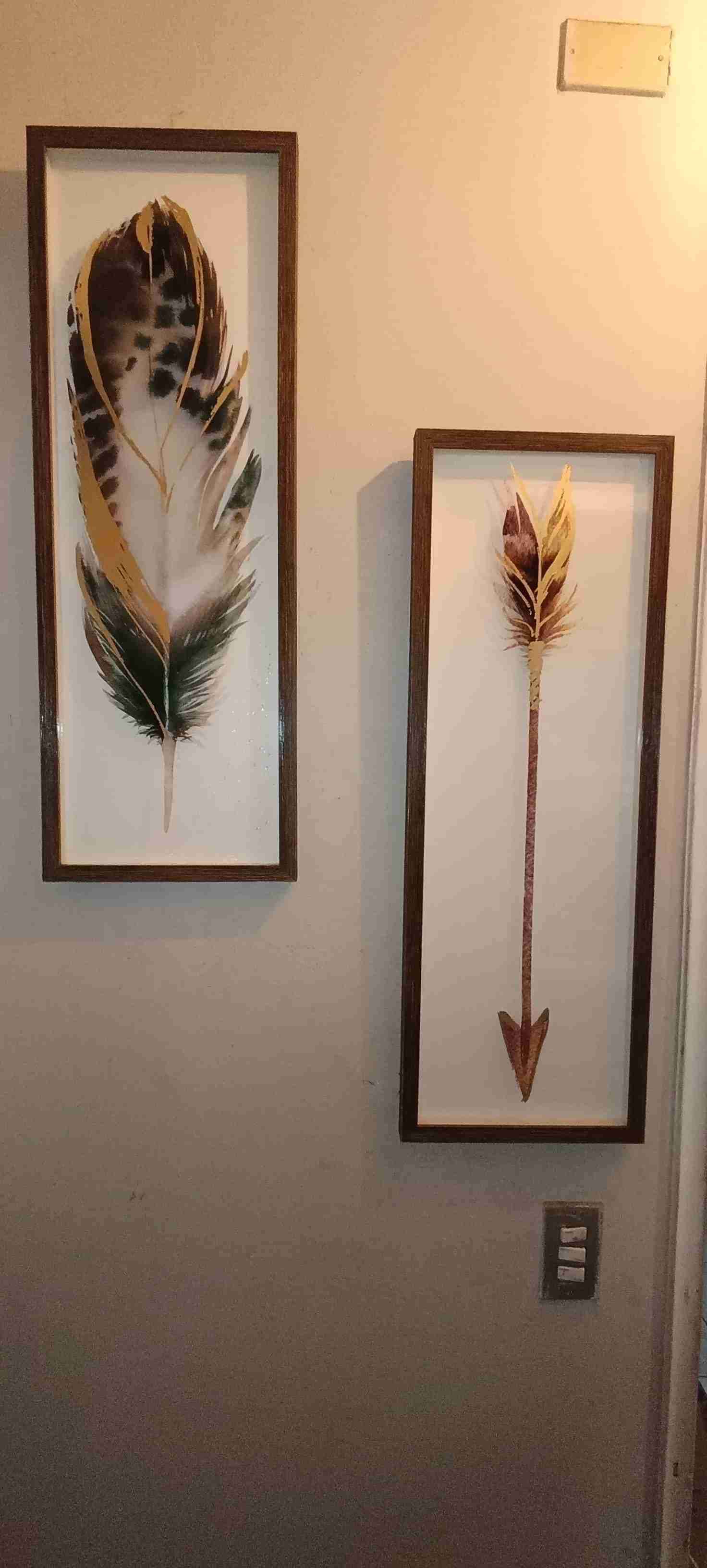 Cuadros decorativos de plumas