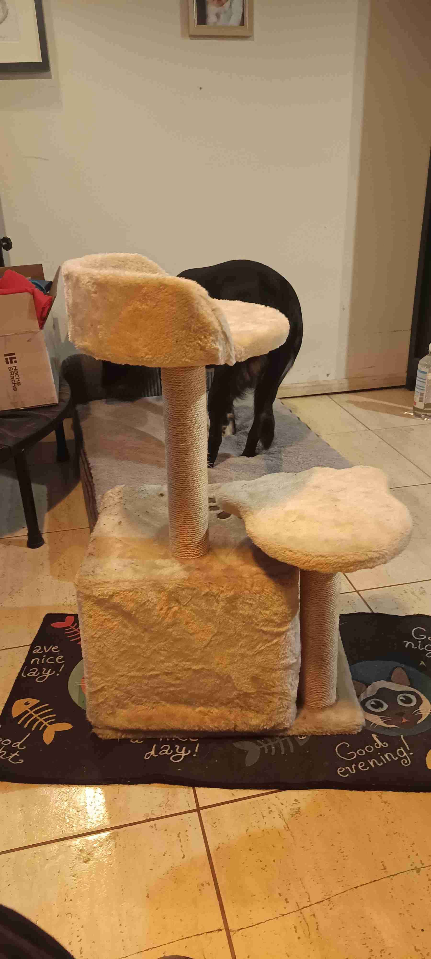 Rascador para gatos beige - miniatura 2