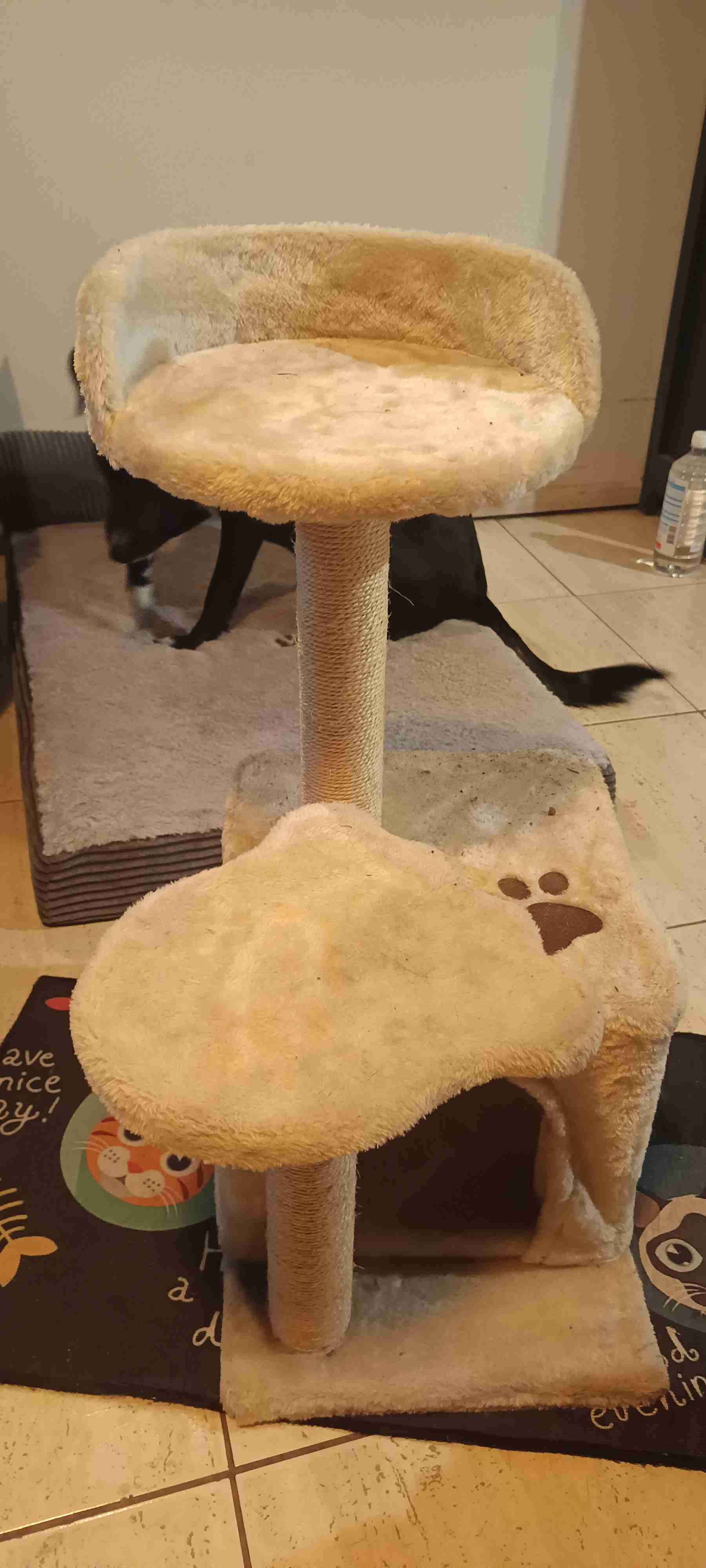 Rascador para gatos beige - miniatura 4