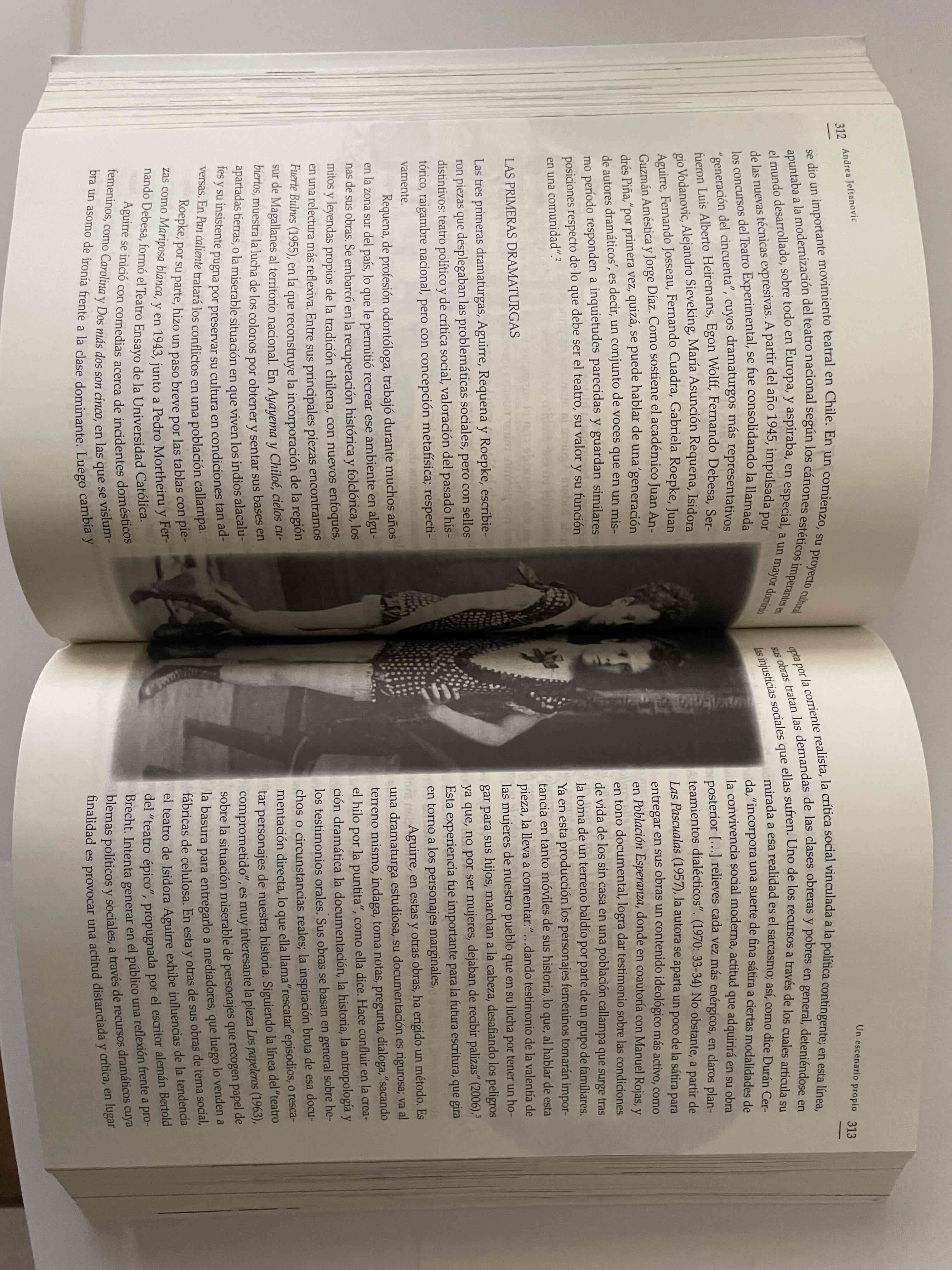 Libro Mujeres Chilenas - miniatura 5