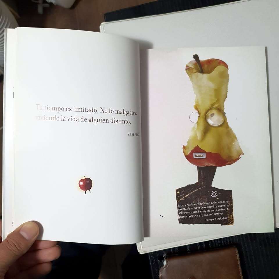 Libro Retrato2 De Pablo Bernasconi - miniatura 5