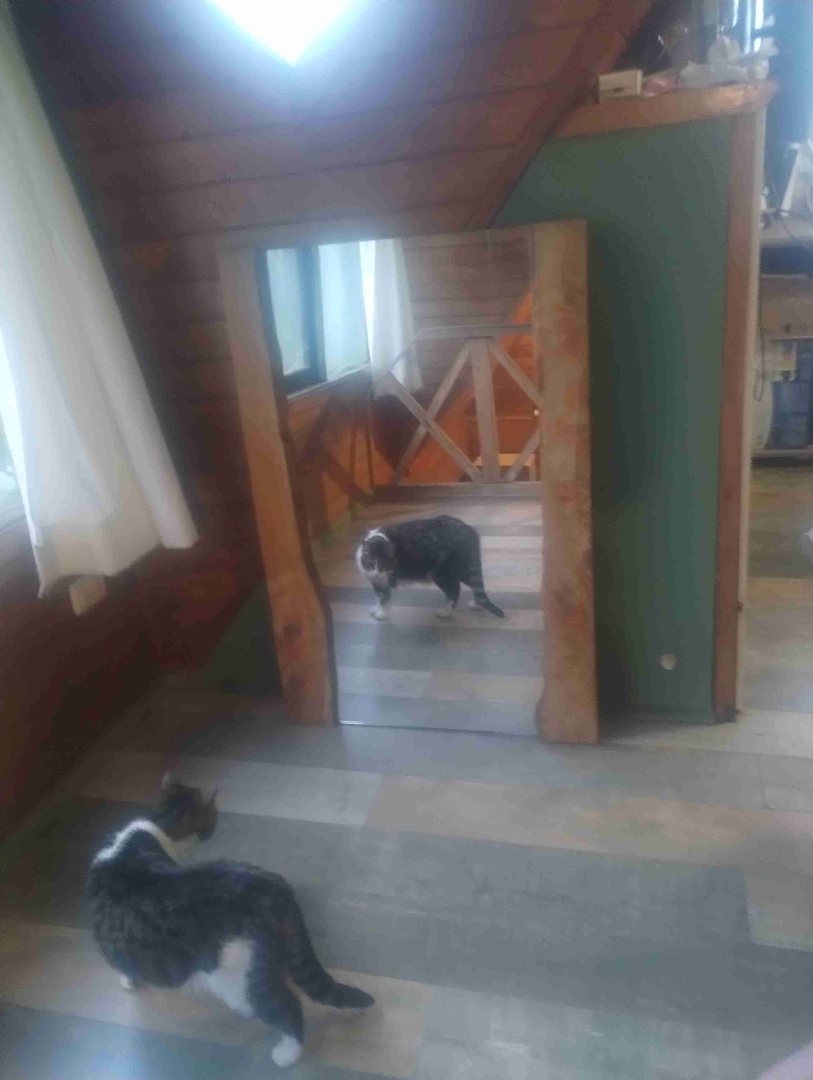 Espejo rústico - miniatura 2