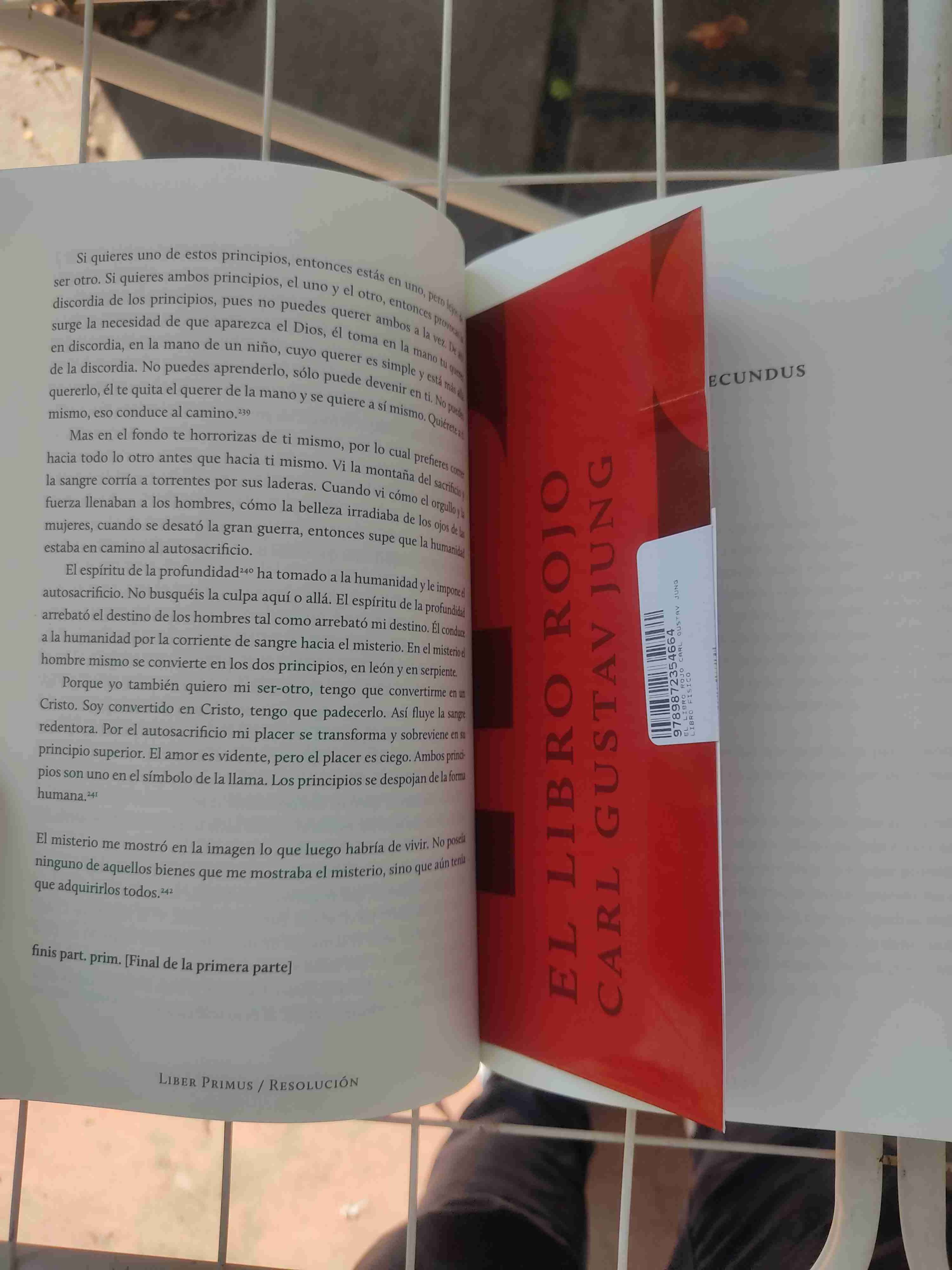 El Libro Rojo de Carl Jung - miniatura 2