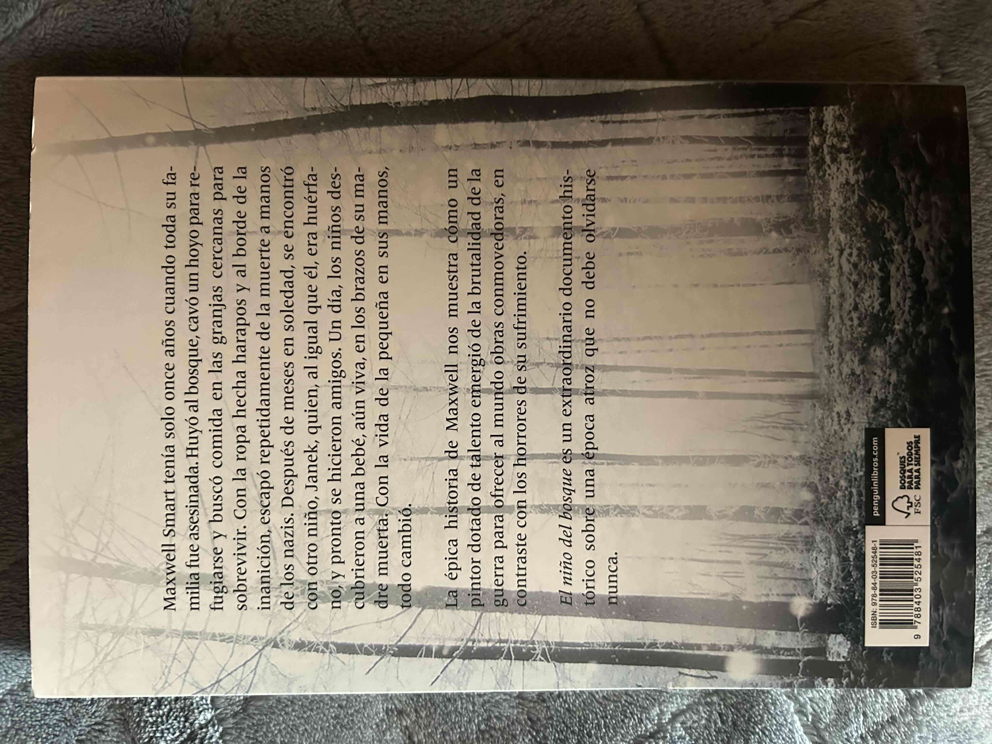 El niño del bosque - miniatura 2