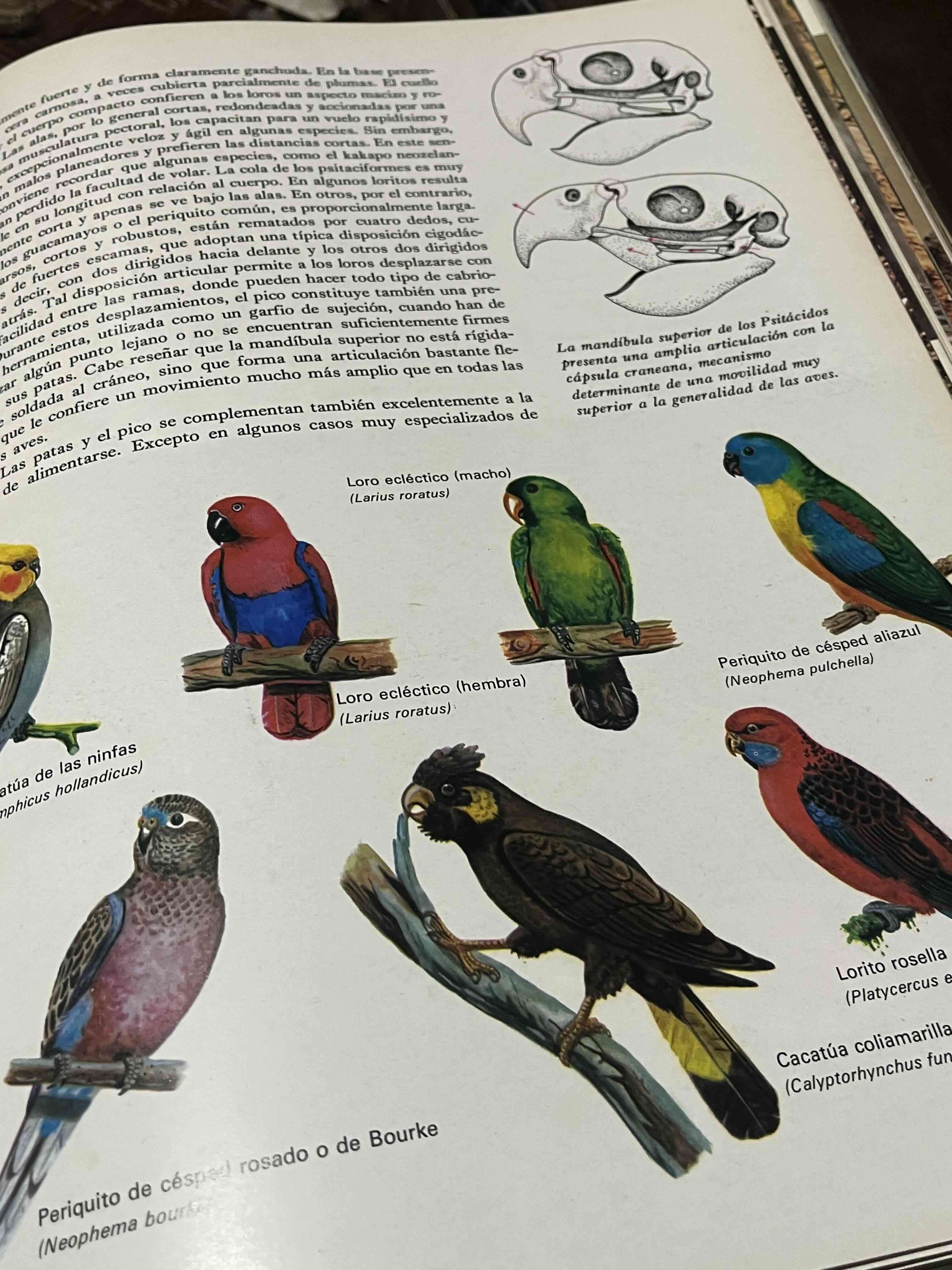 Colección de libros Fauna Salvat - miniatura 3