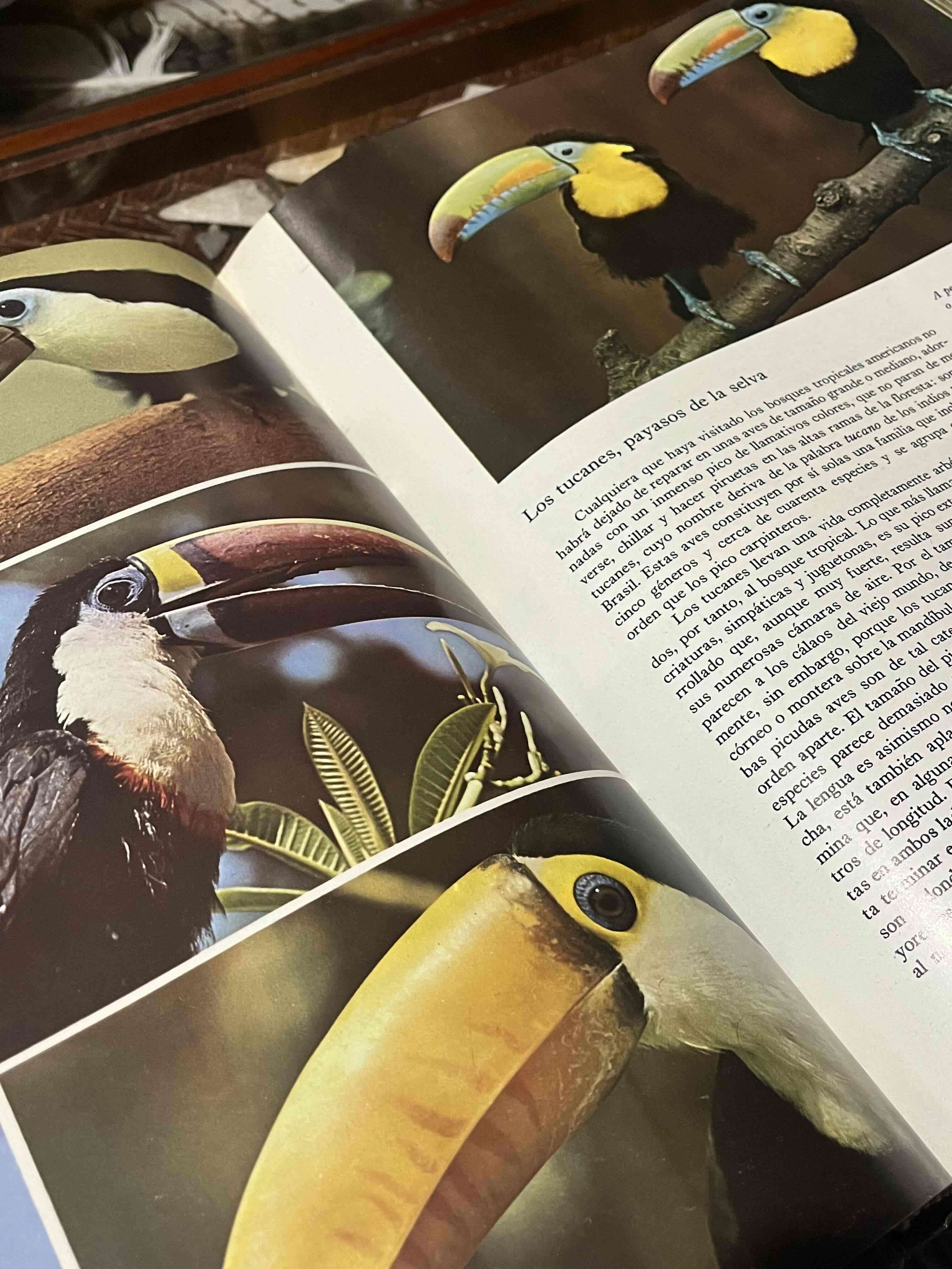 Colección de libros Fauna Salvat - miniatura 4