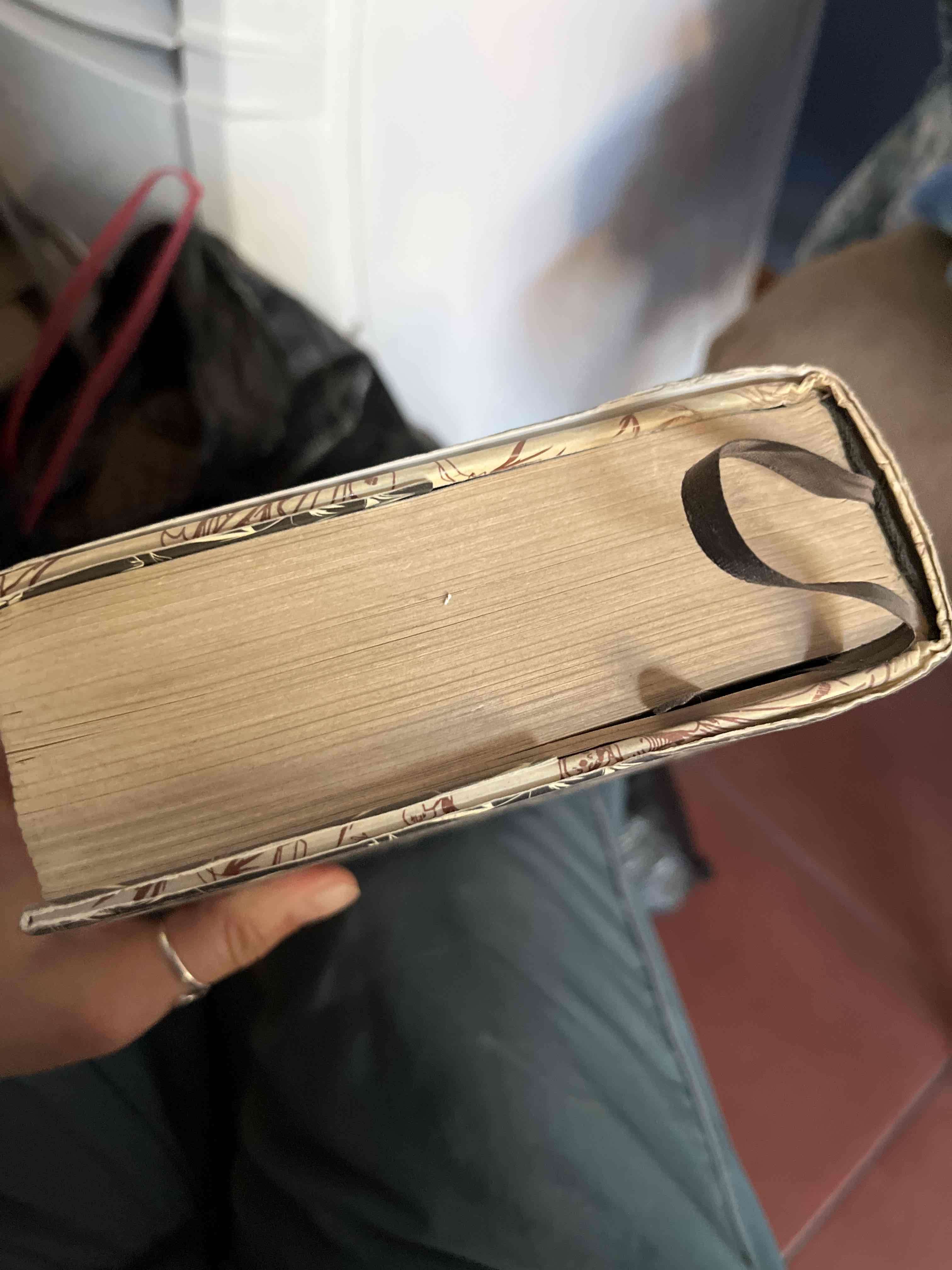 Libro 'La Puerta Oscura: El Viajero' - miniatura 3