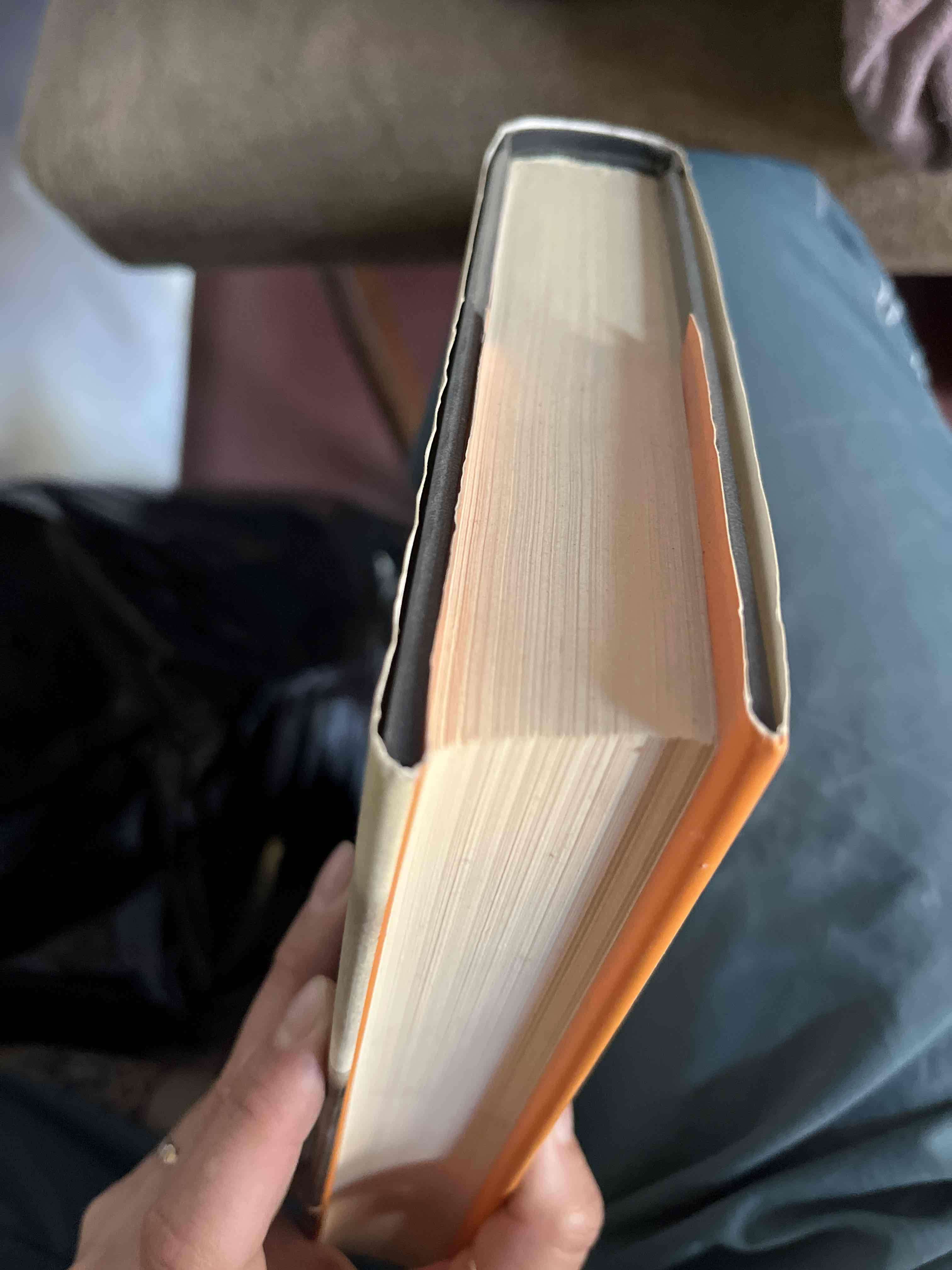 Libro 'Algo Queda' de Inge Barth-Grözinger - miniatura 3