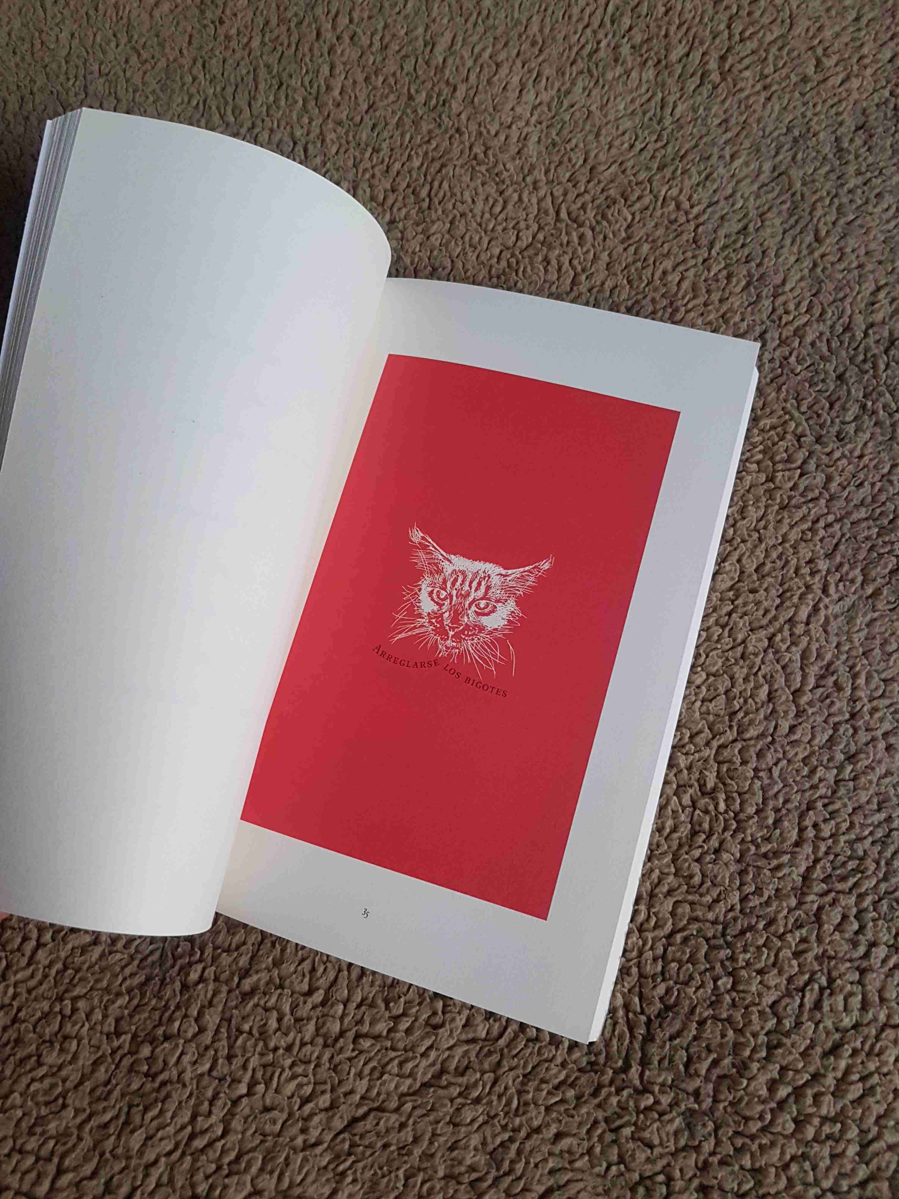 Libro Al cateo 'e la laucha - miniatura 6