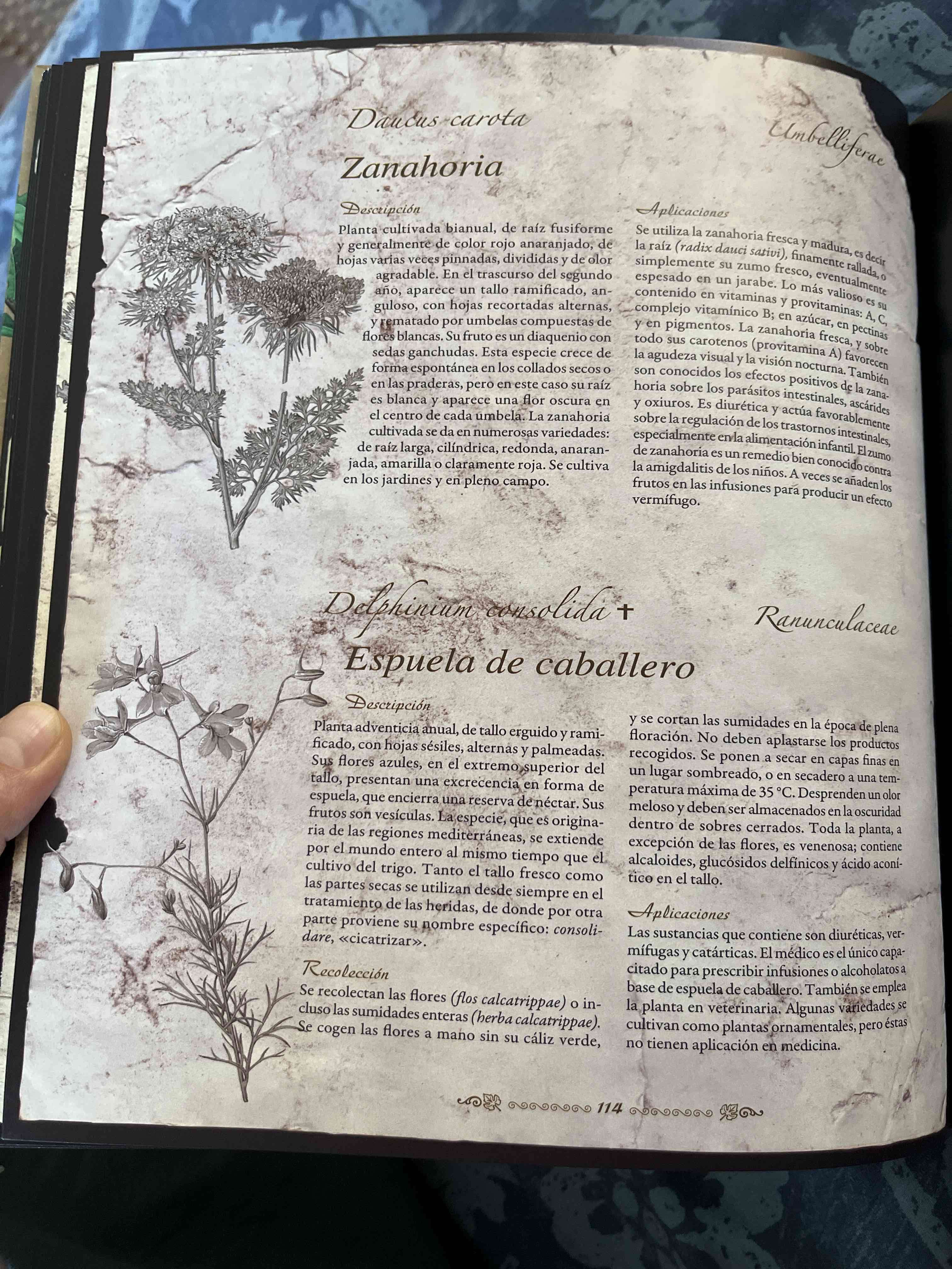 Atlas Ilustrado de Plantas Medicinales - miniatura 3