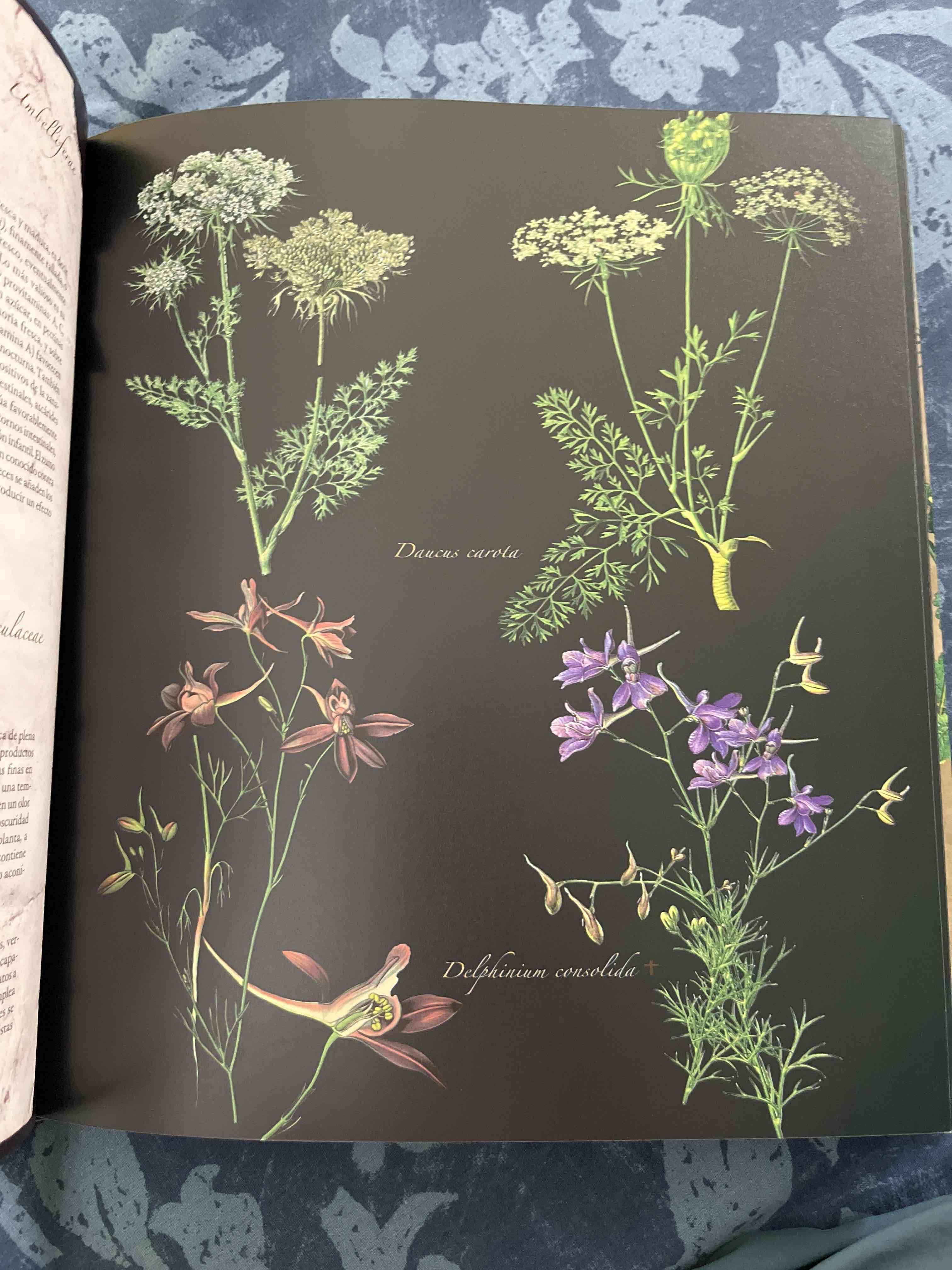 Atlas Ilustrado de Plantas Medicinales - miniatura 4