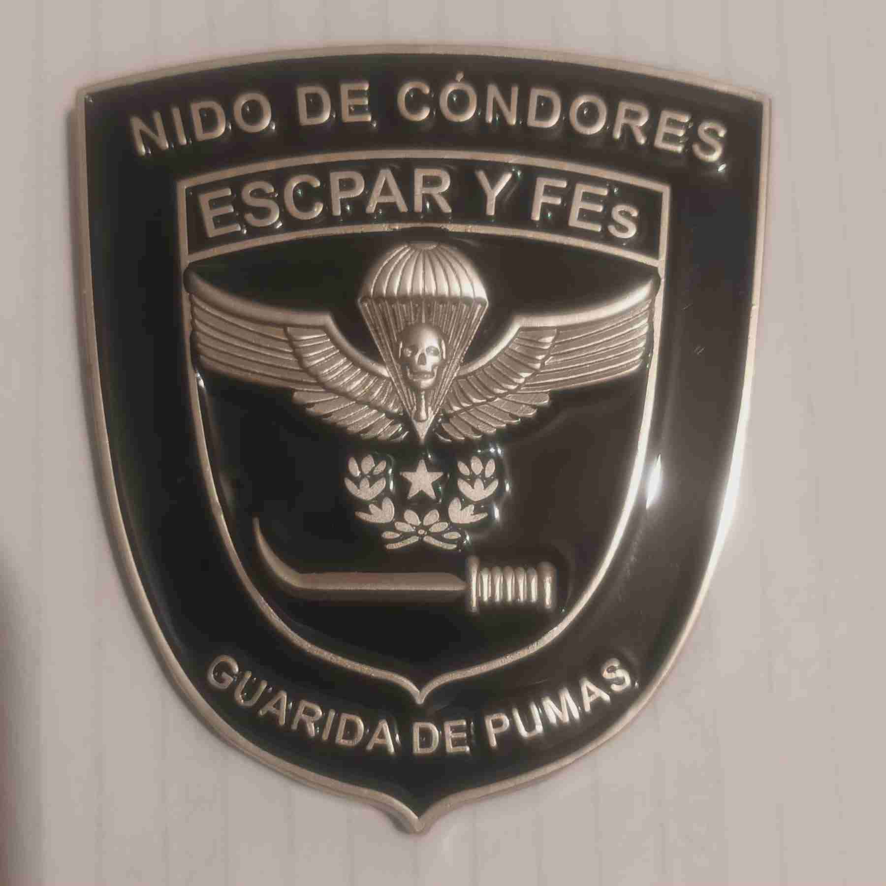 Emblema de aniversario 60 años ESCPAR Y FFEE - miniatura 2