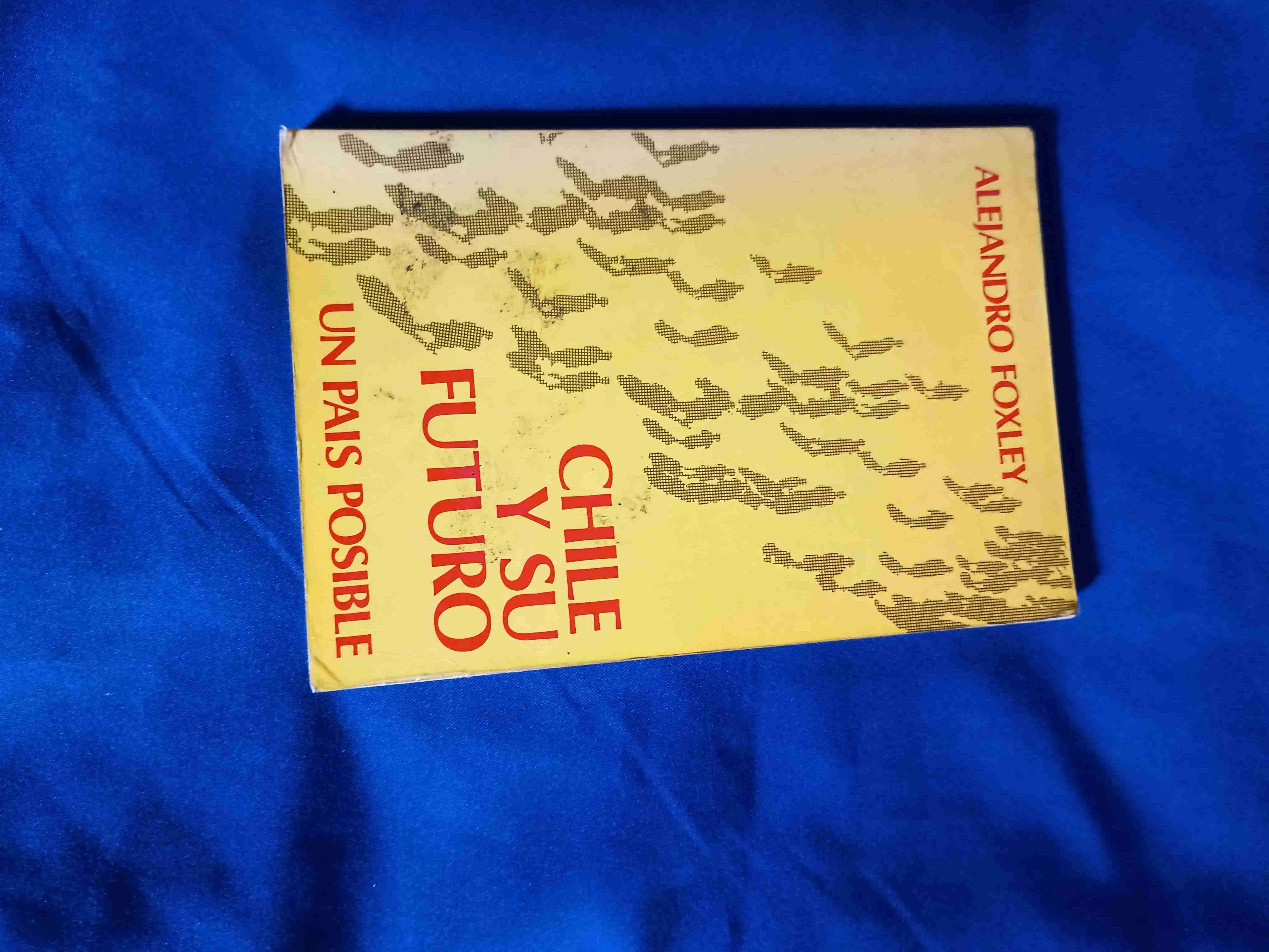 Libro 'Chile y su Futuro' - miniatura 1