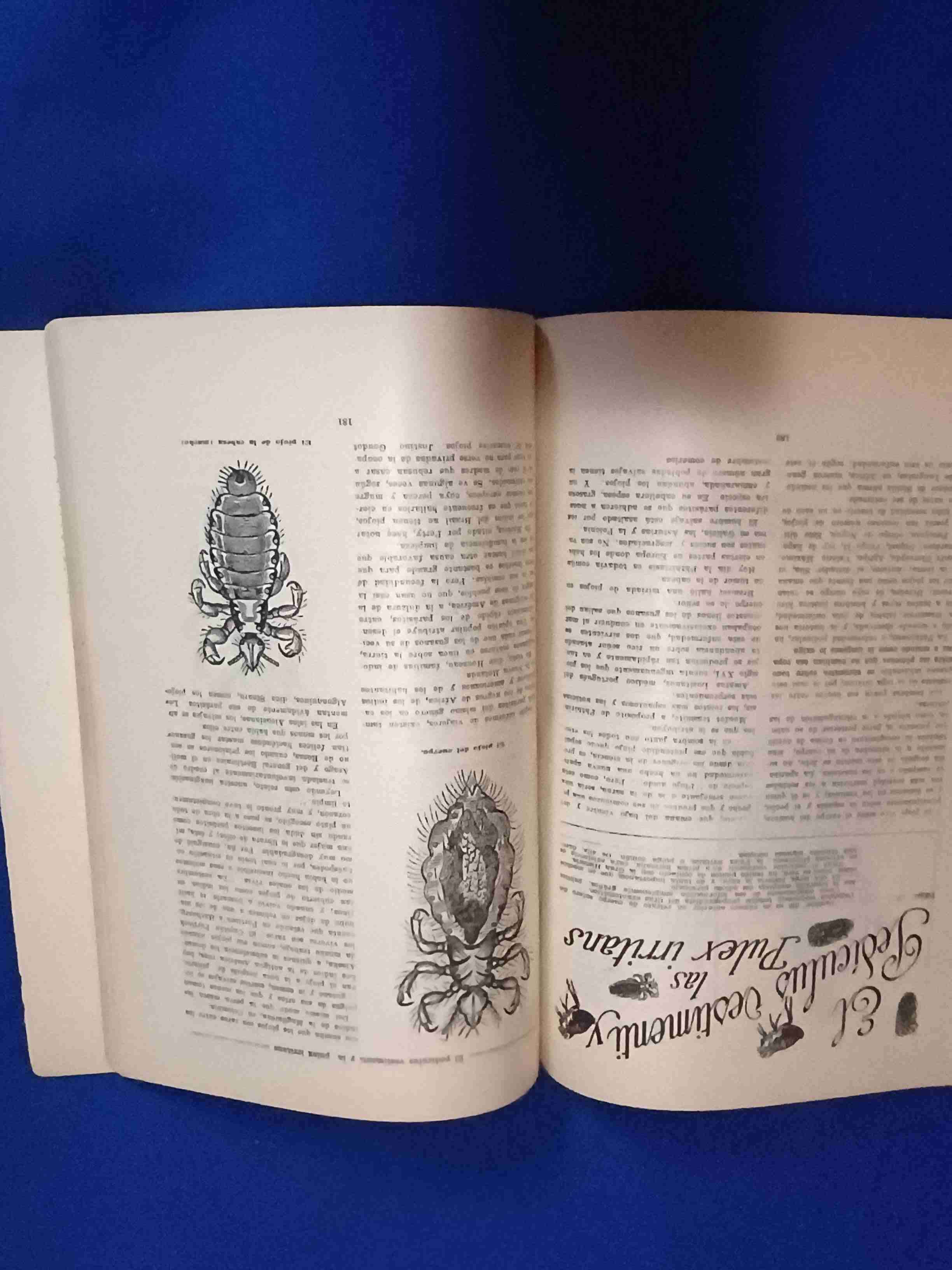 Revista antigua "Cultura Sexual y Física" - miniatura 3