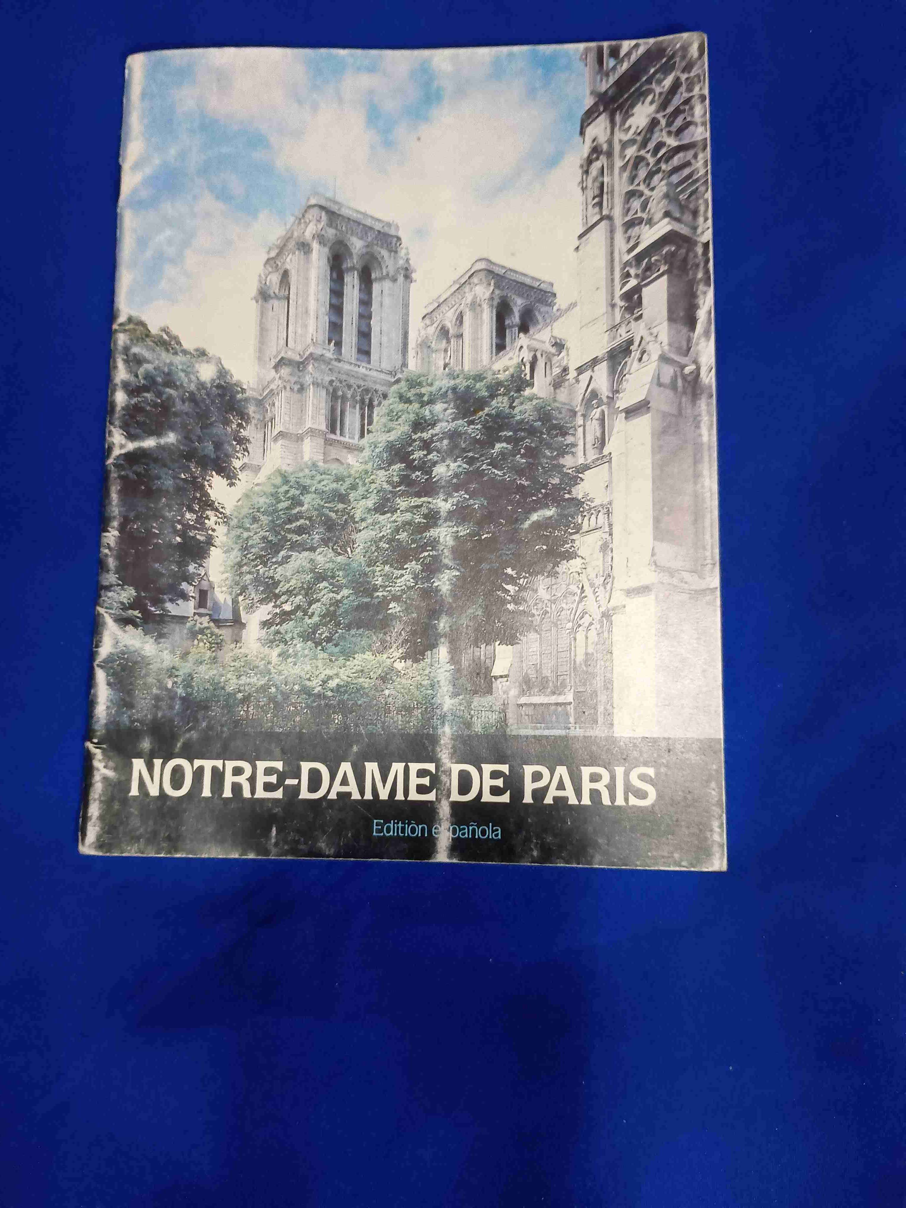 Guía de Notre-Dame de París - miniatura 1