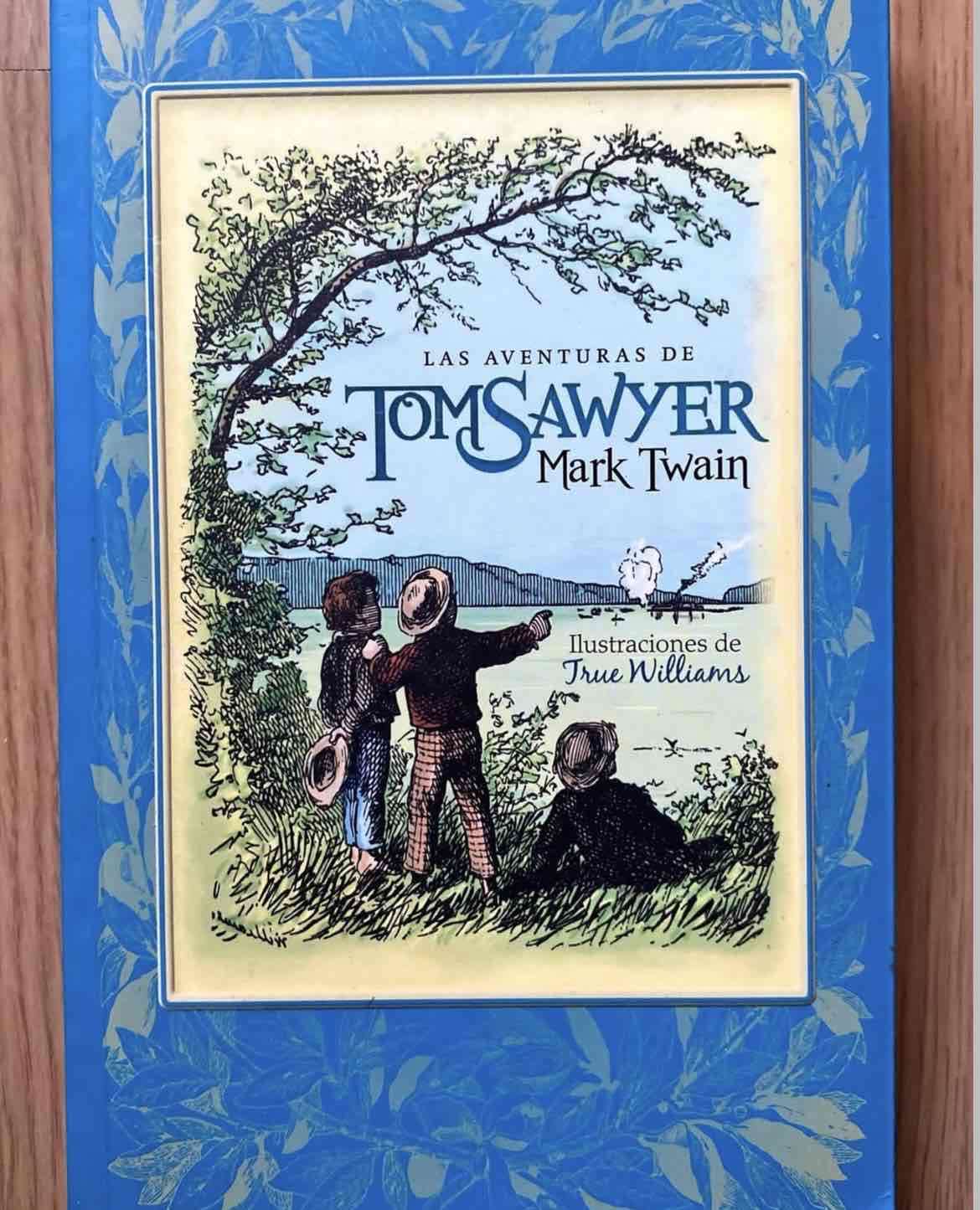 Las Aventuras de Tom Sawyer - miniatura 1