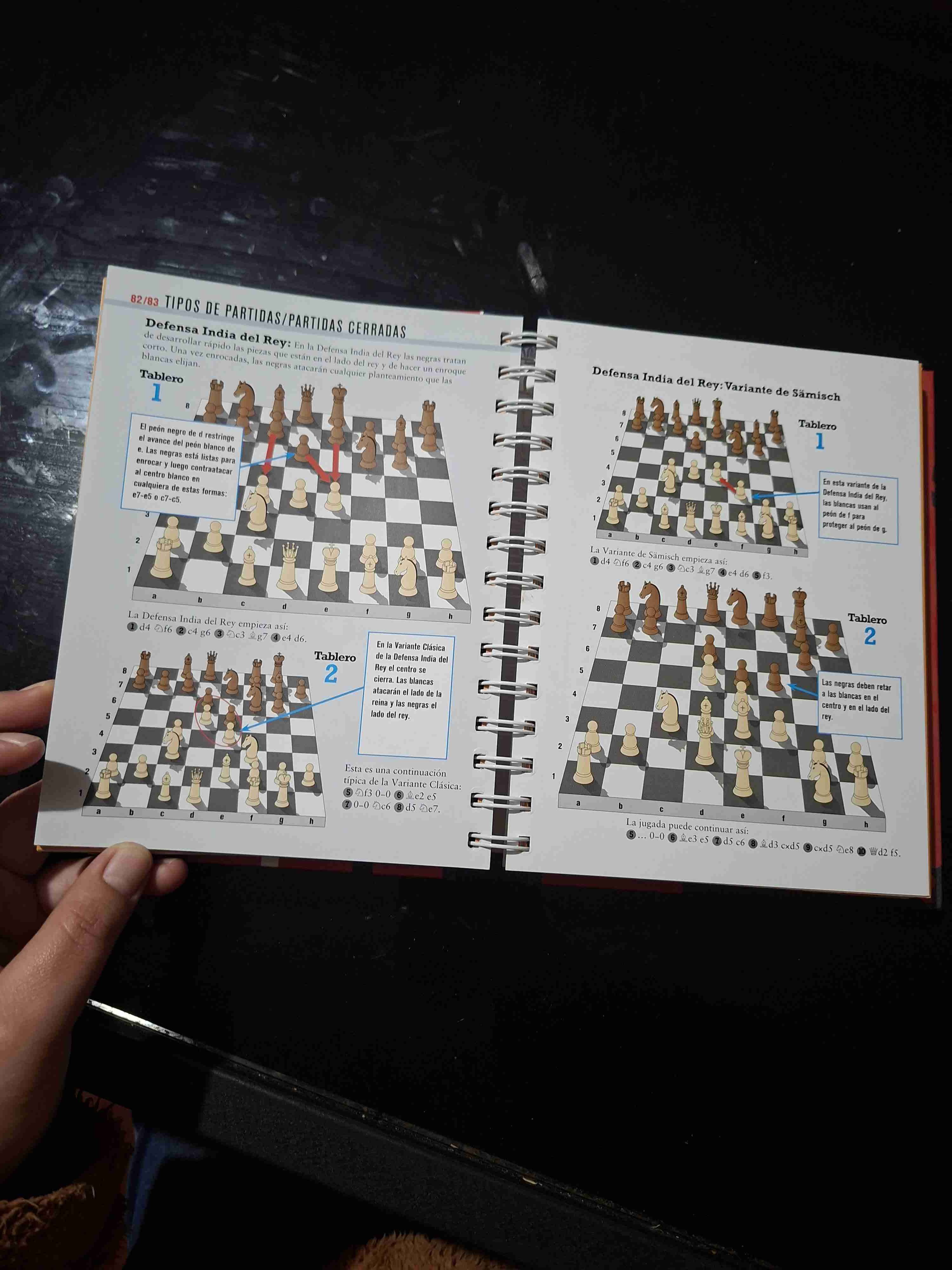 Libro 'La Biblia del Ajedrecista' - miniatura 2